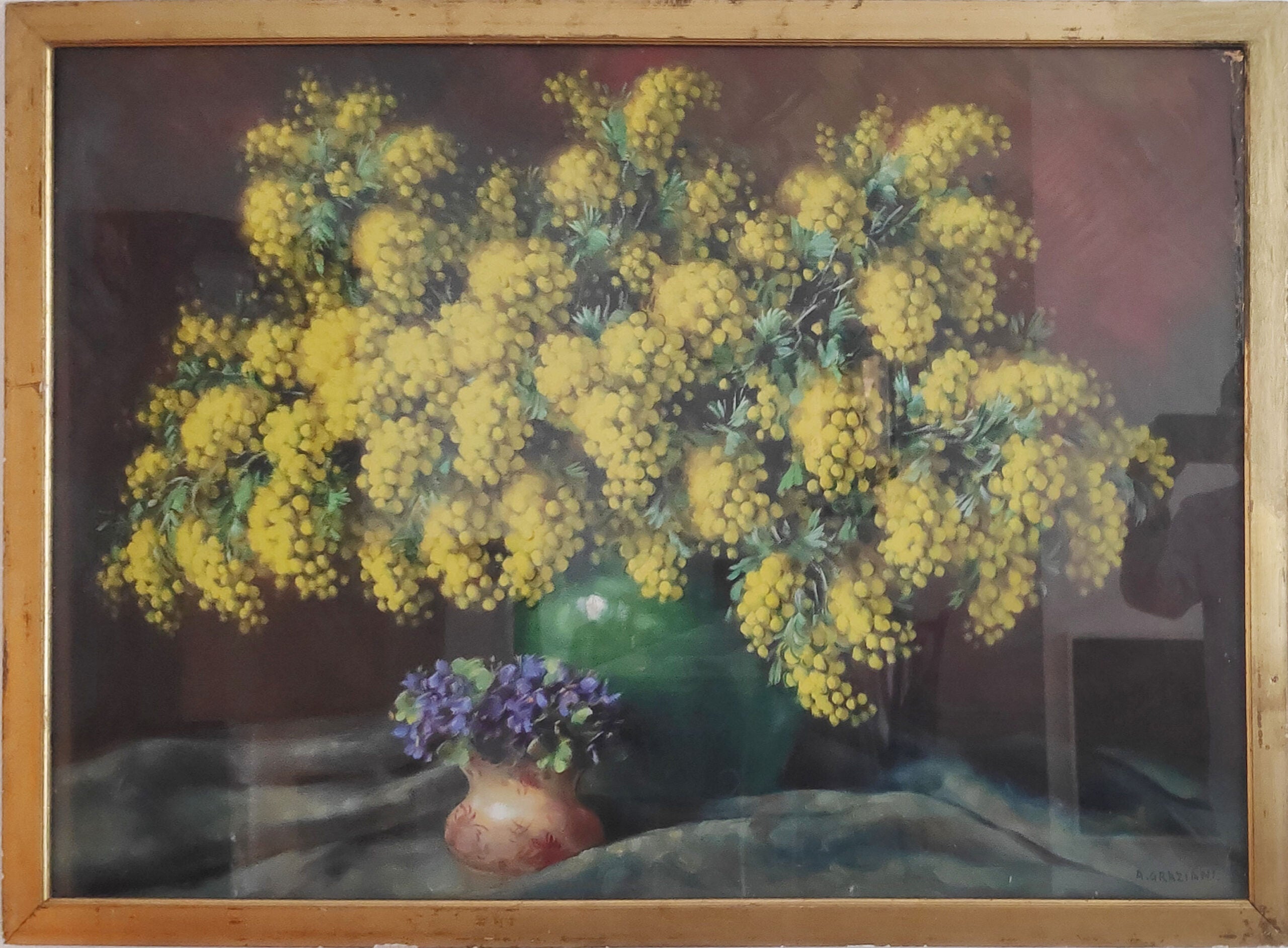 Alfio Paolo Graziani - Mimosa