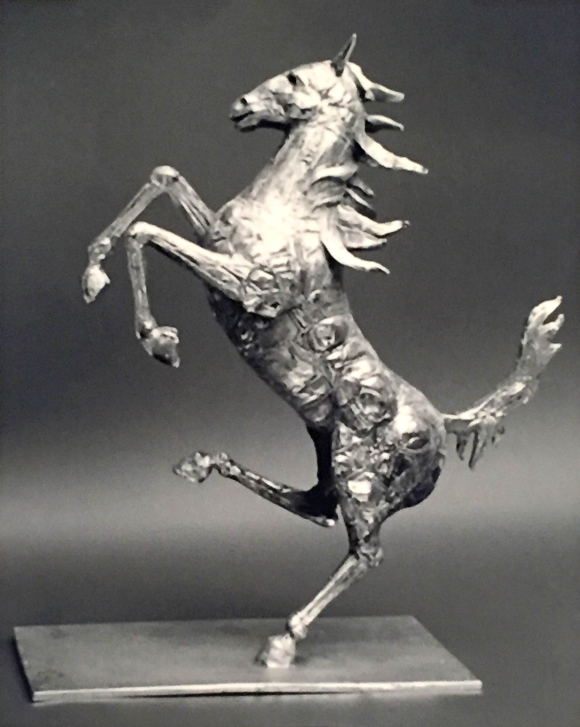 Helidon Xhixha - Caballo rampante