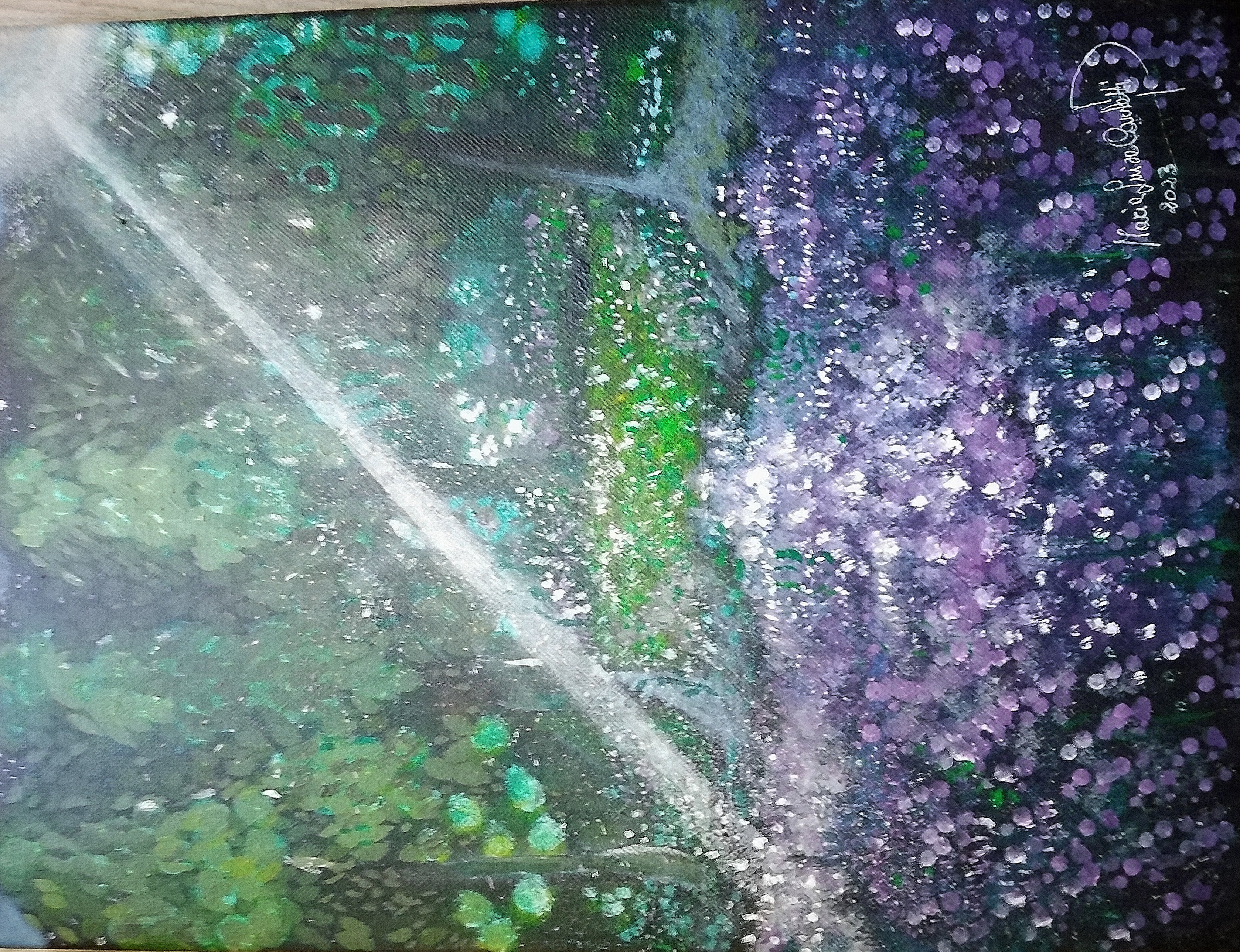 Il bosco di notte