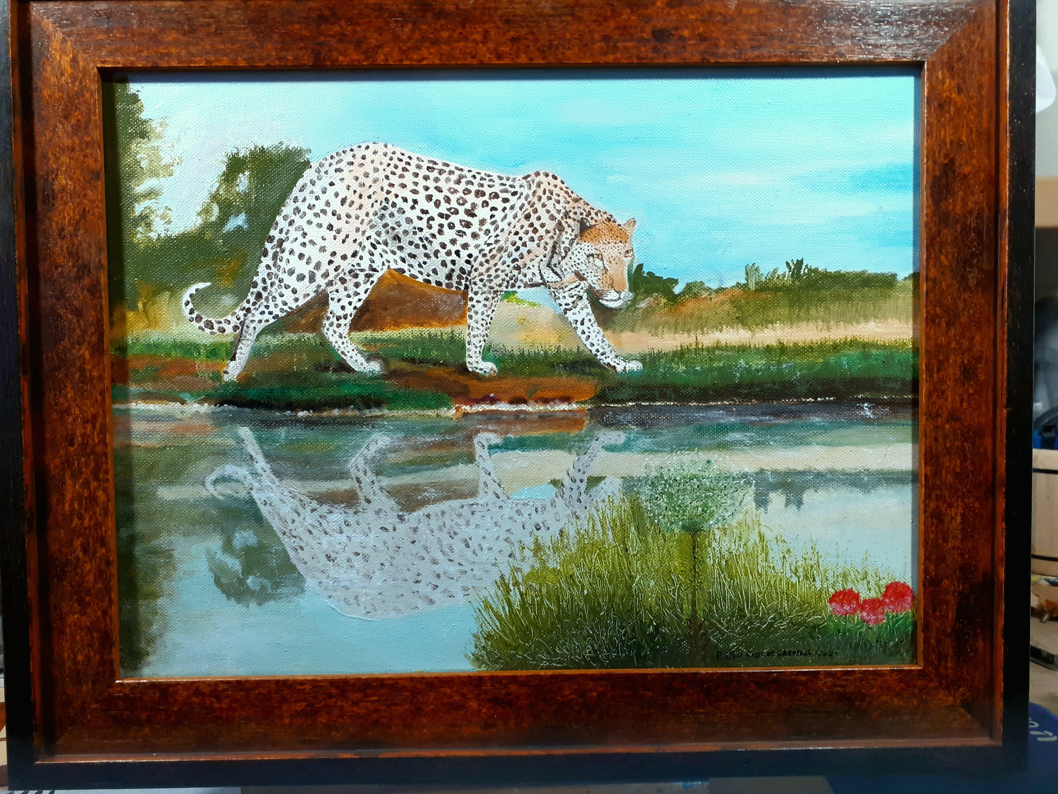The leopard in the savannah