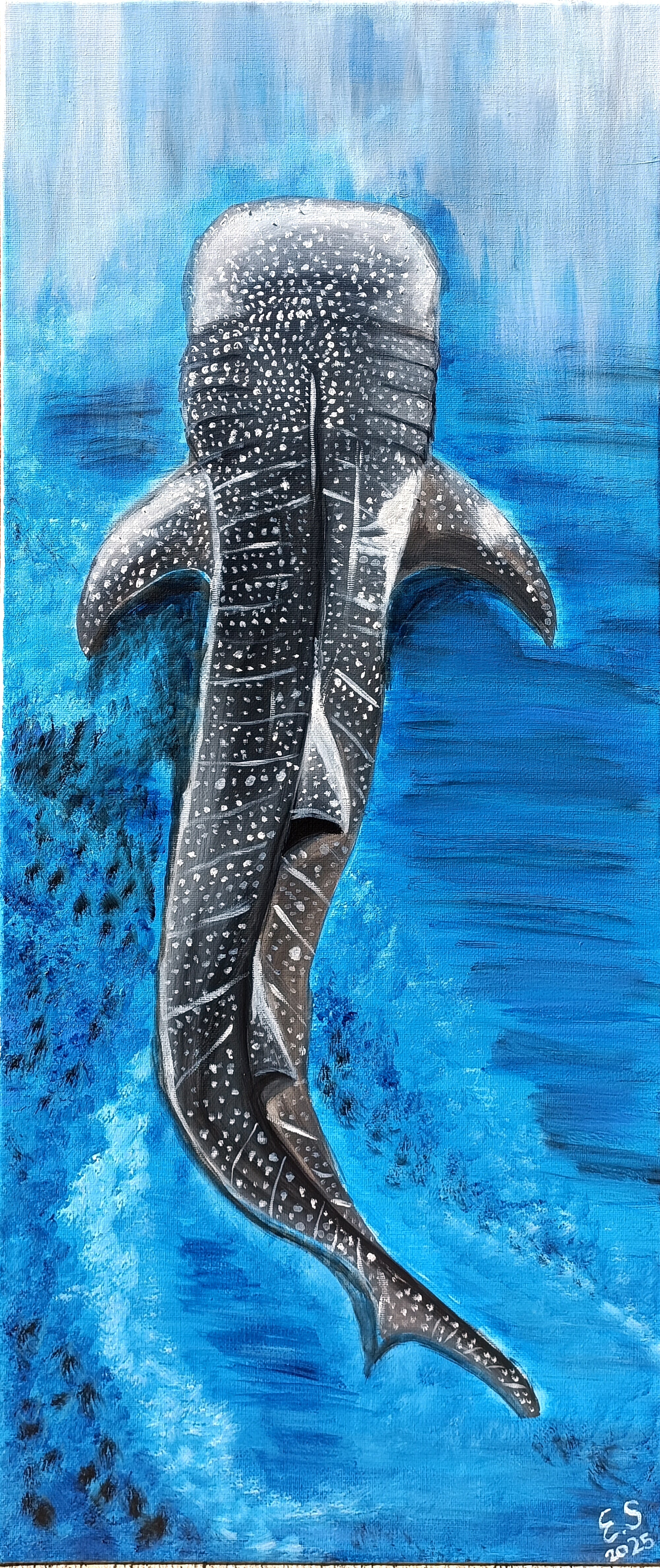 The whale shark