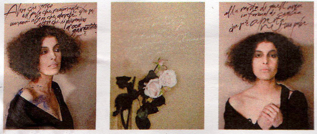 Mustafa Sabbagh - Tina in Hollywood: Rosa rosae