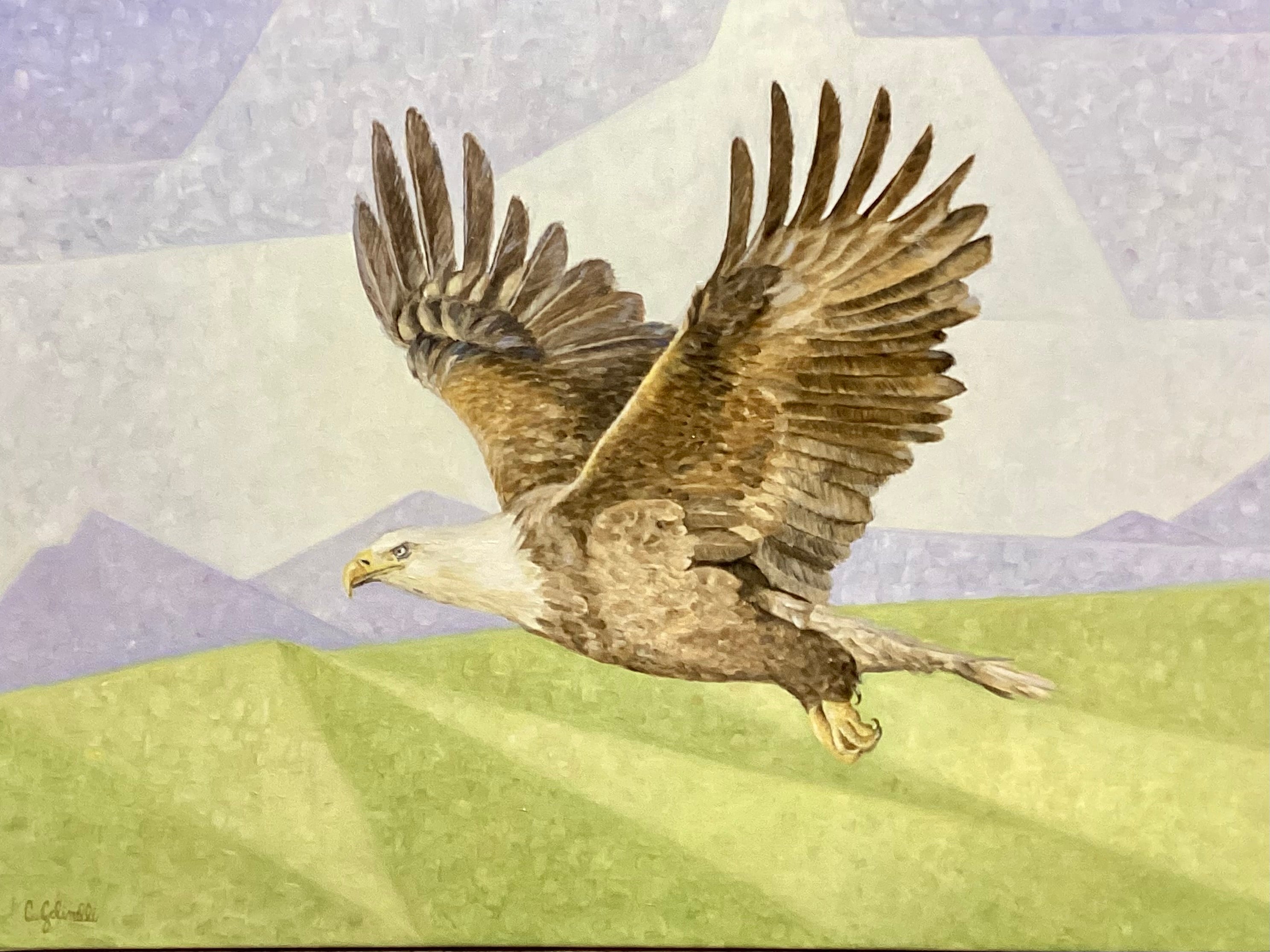 Volo aperto