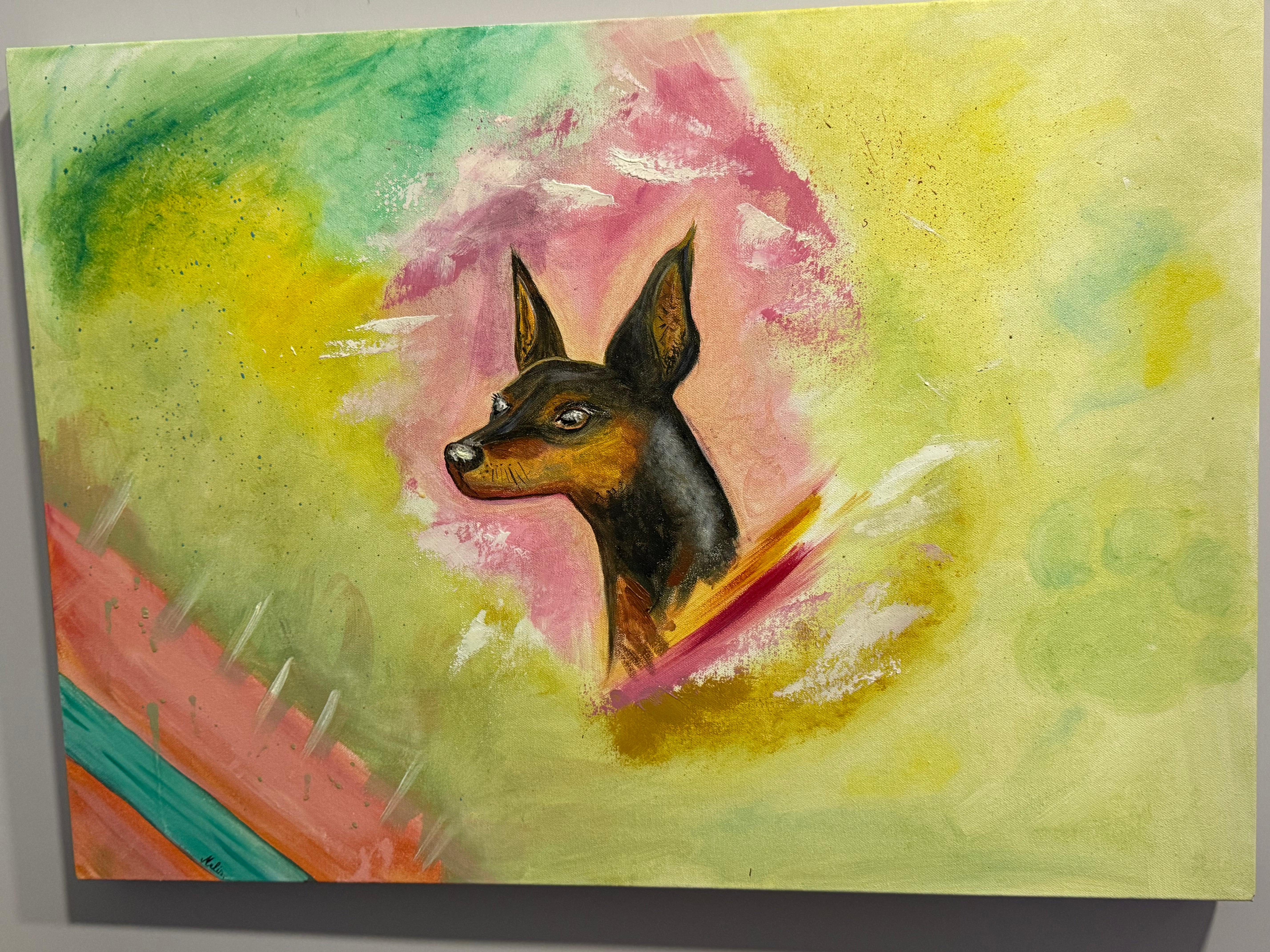 The Pinscher in colors