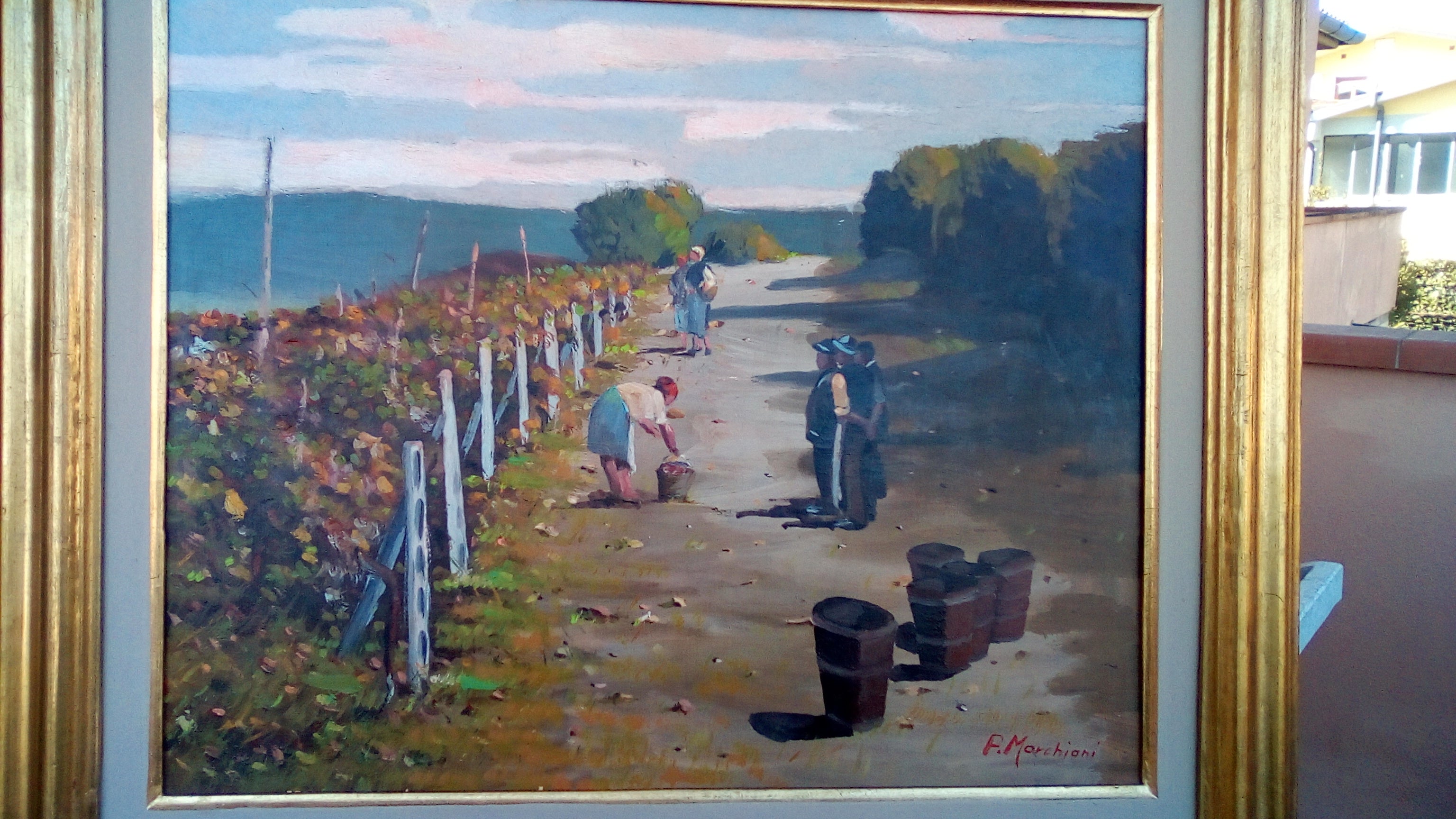 Vendemmia