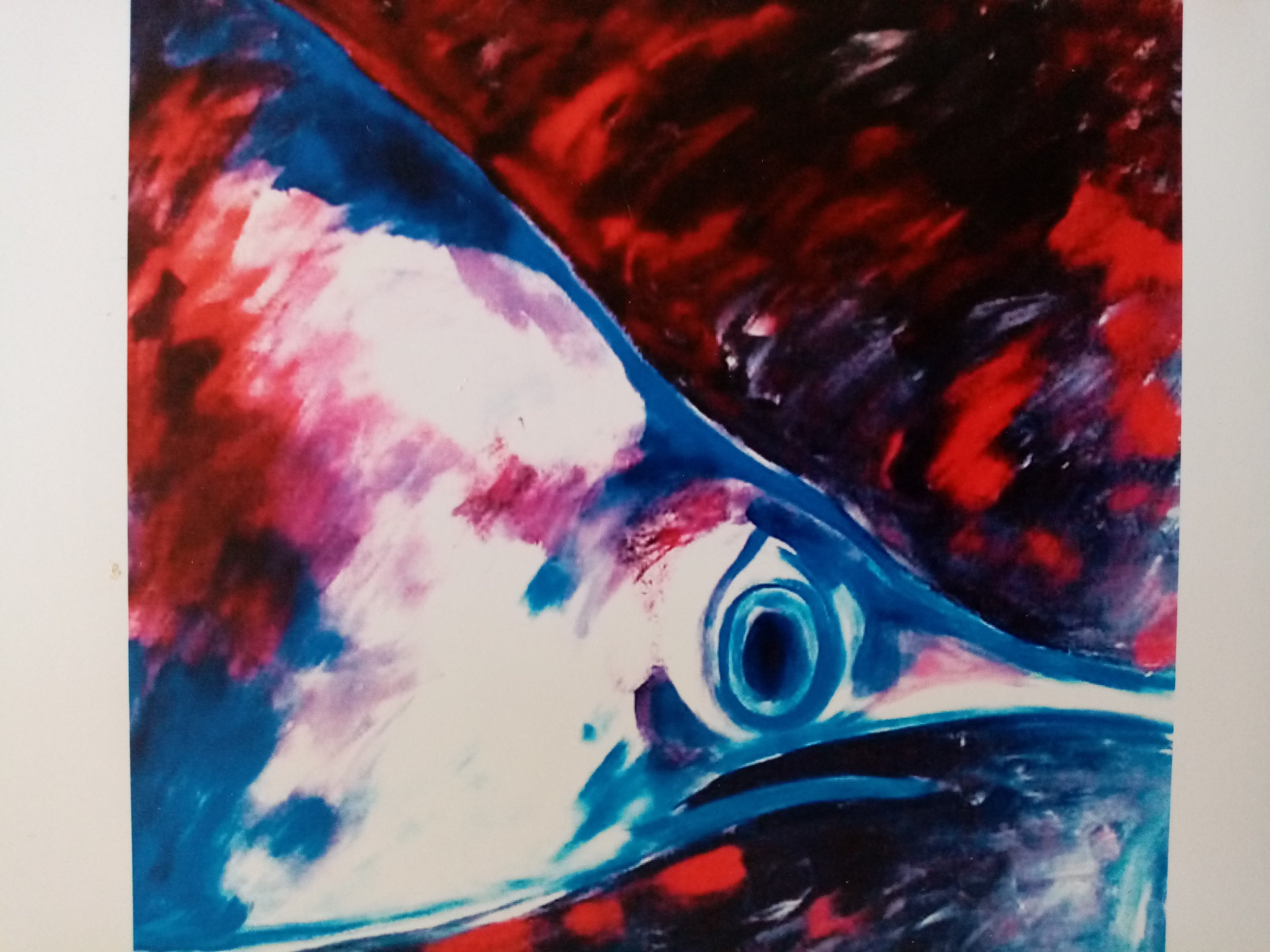 Testa di pesce spada
