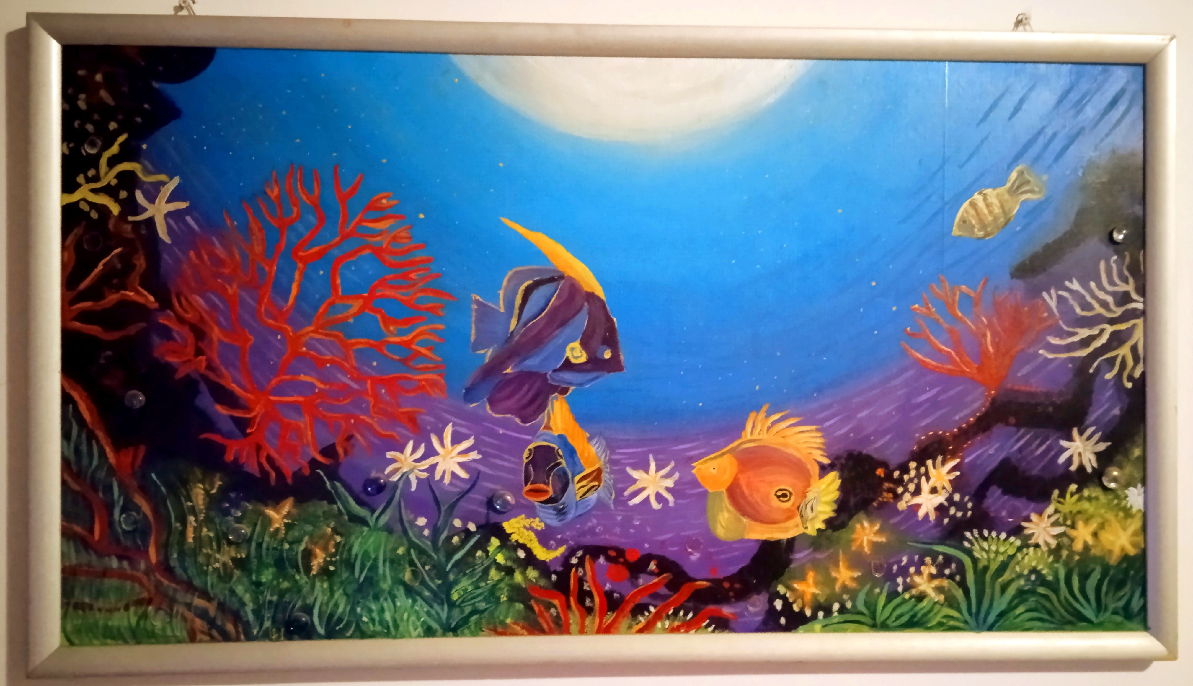 Coral reef