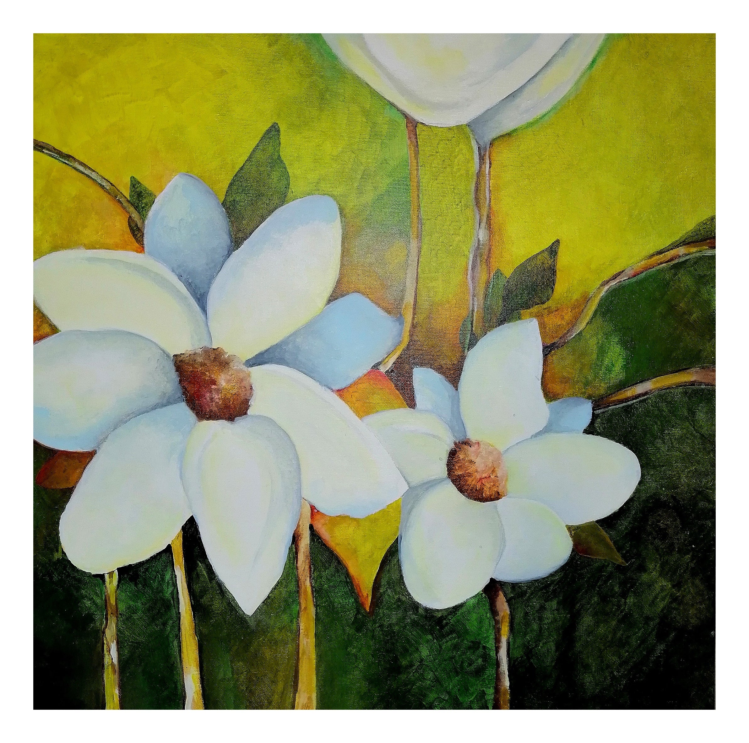 Flores
