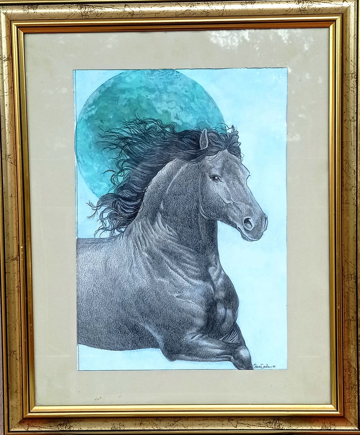Black horse