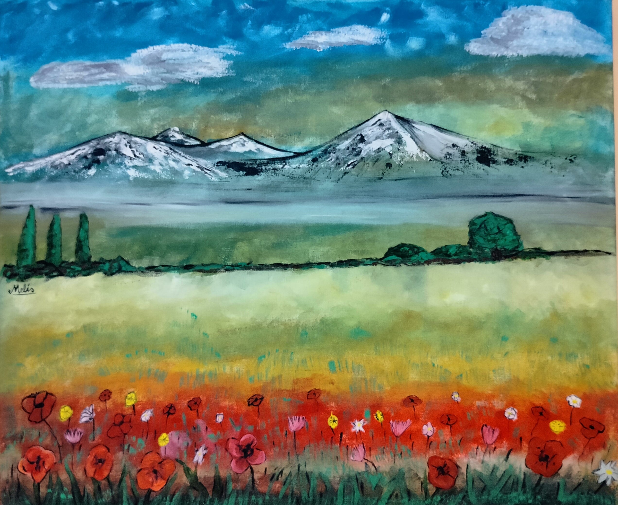 The poppy field