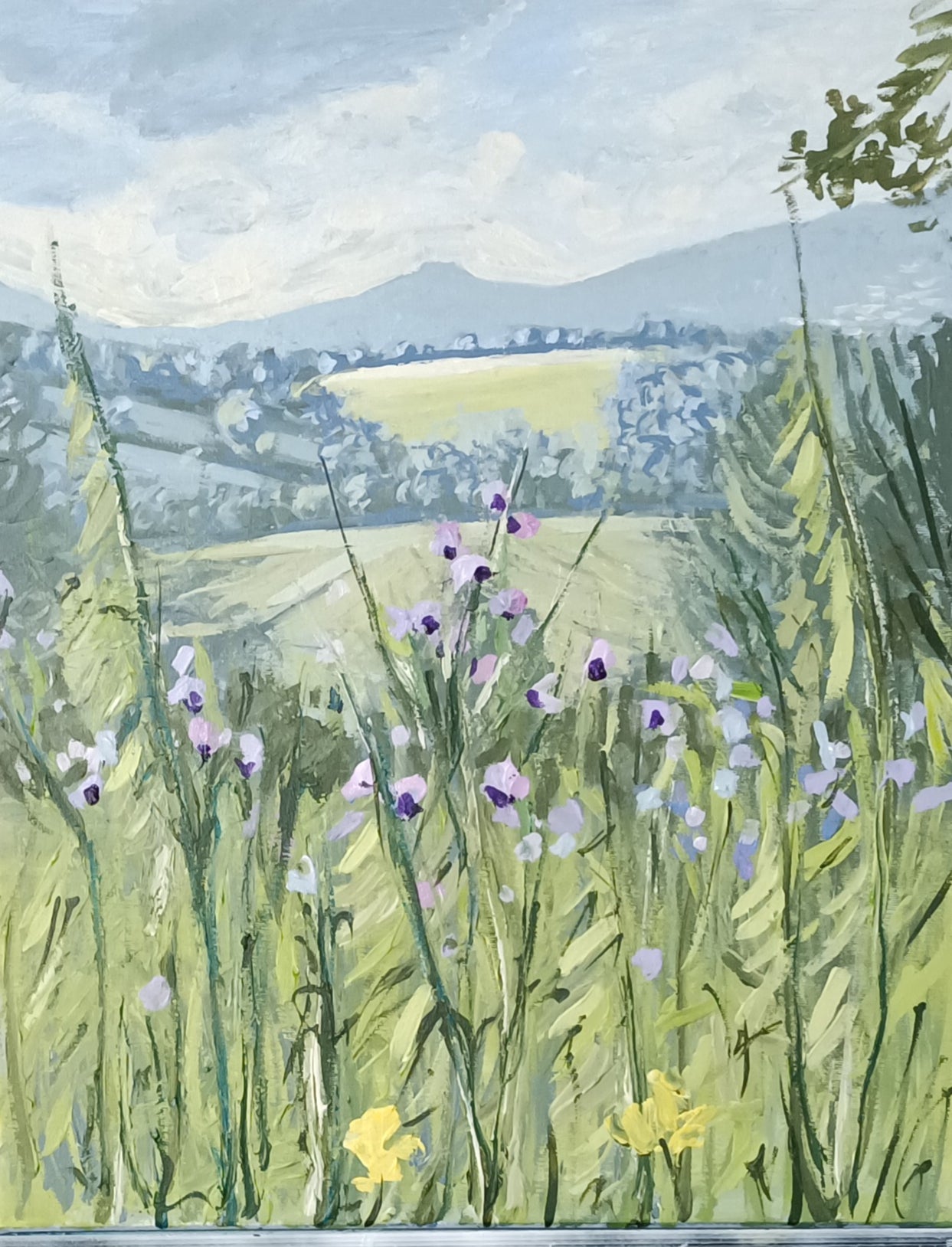 CIOCIARA COUNTRYSIDE