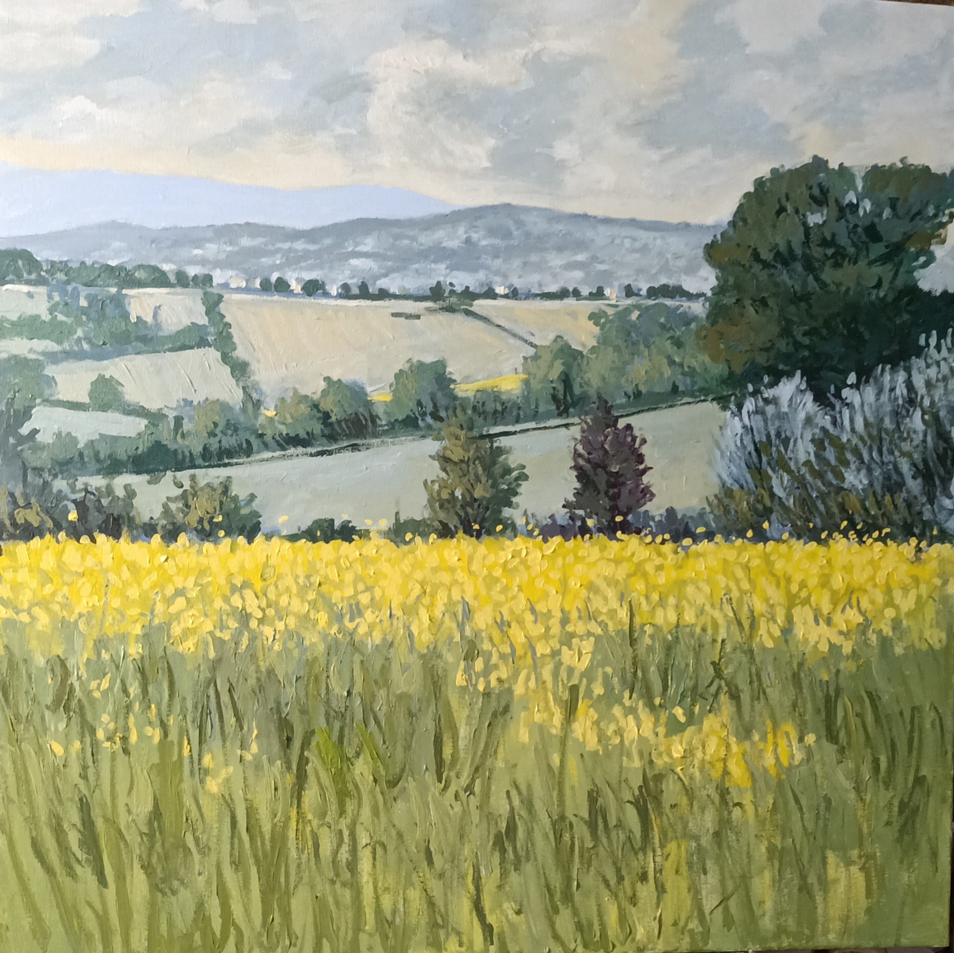 CIOCIARA COUNTRYSIDE