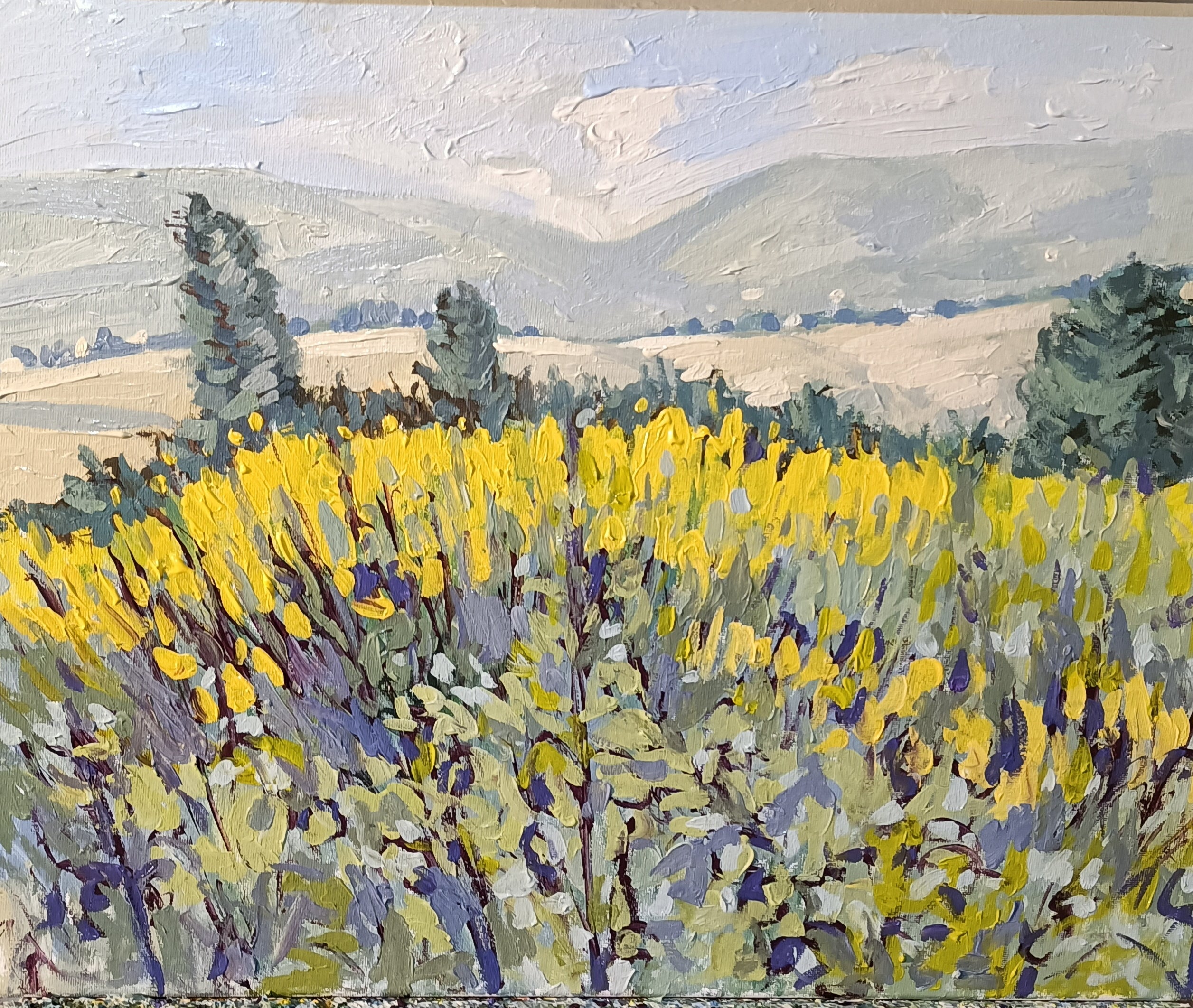 CIOCIARA COUNTRYSIDE