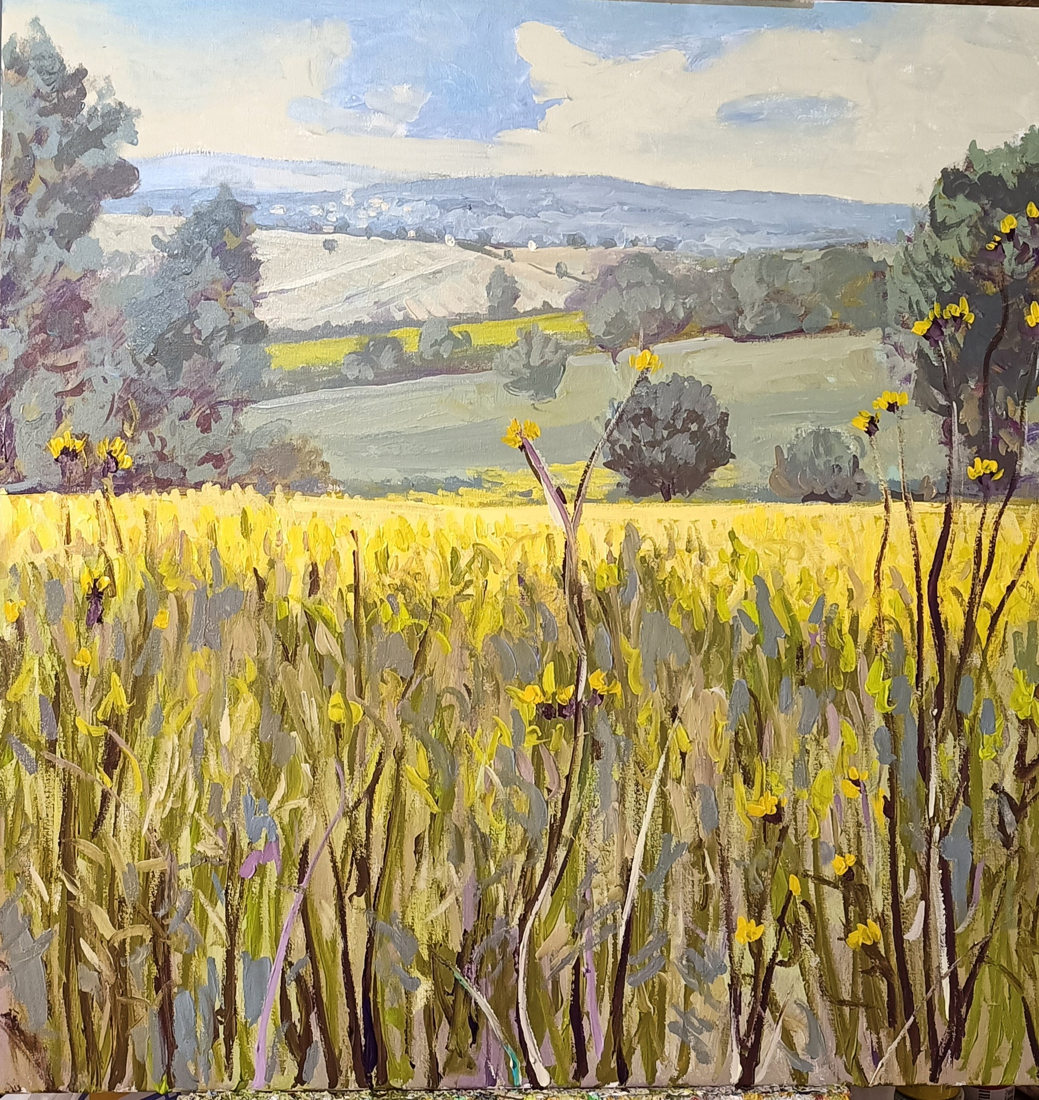 CIOCIARA COUNTRYSIDE