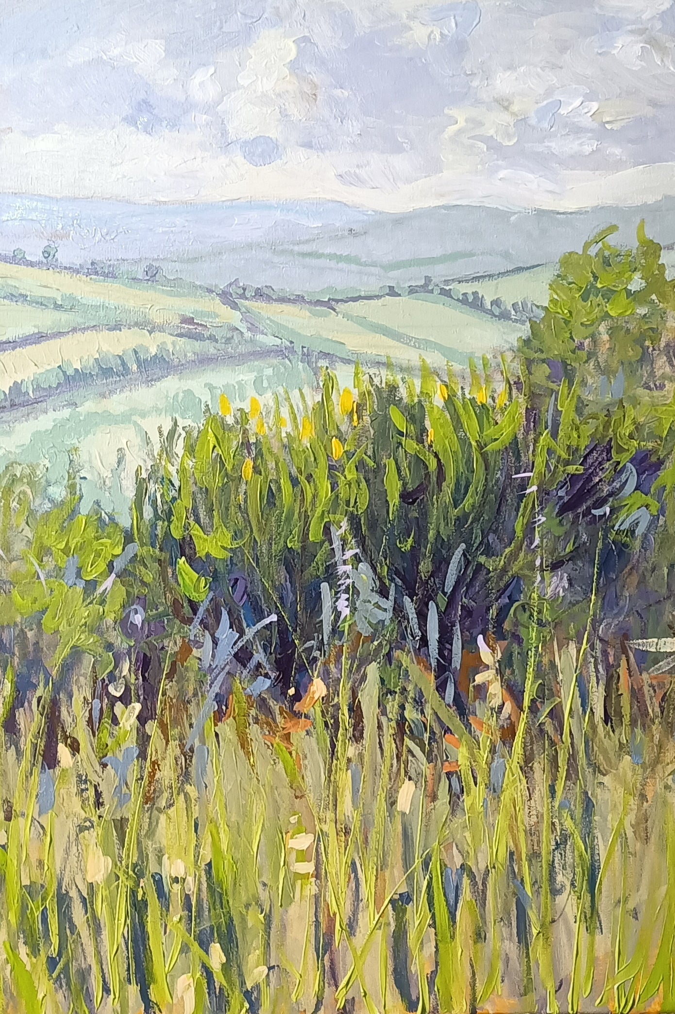 CIOCIARA COUNTRYSIDE