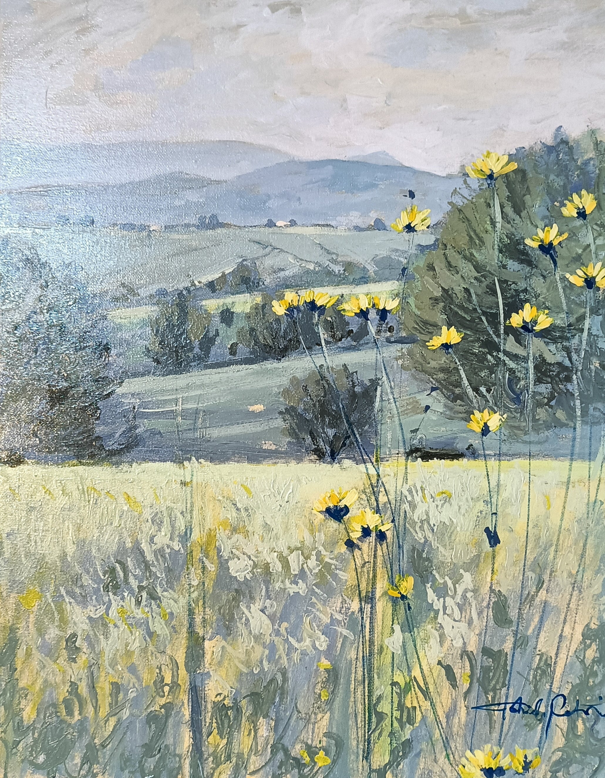 CIOCIARA COUNTRYSIDE
