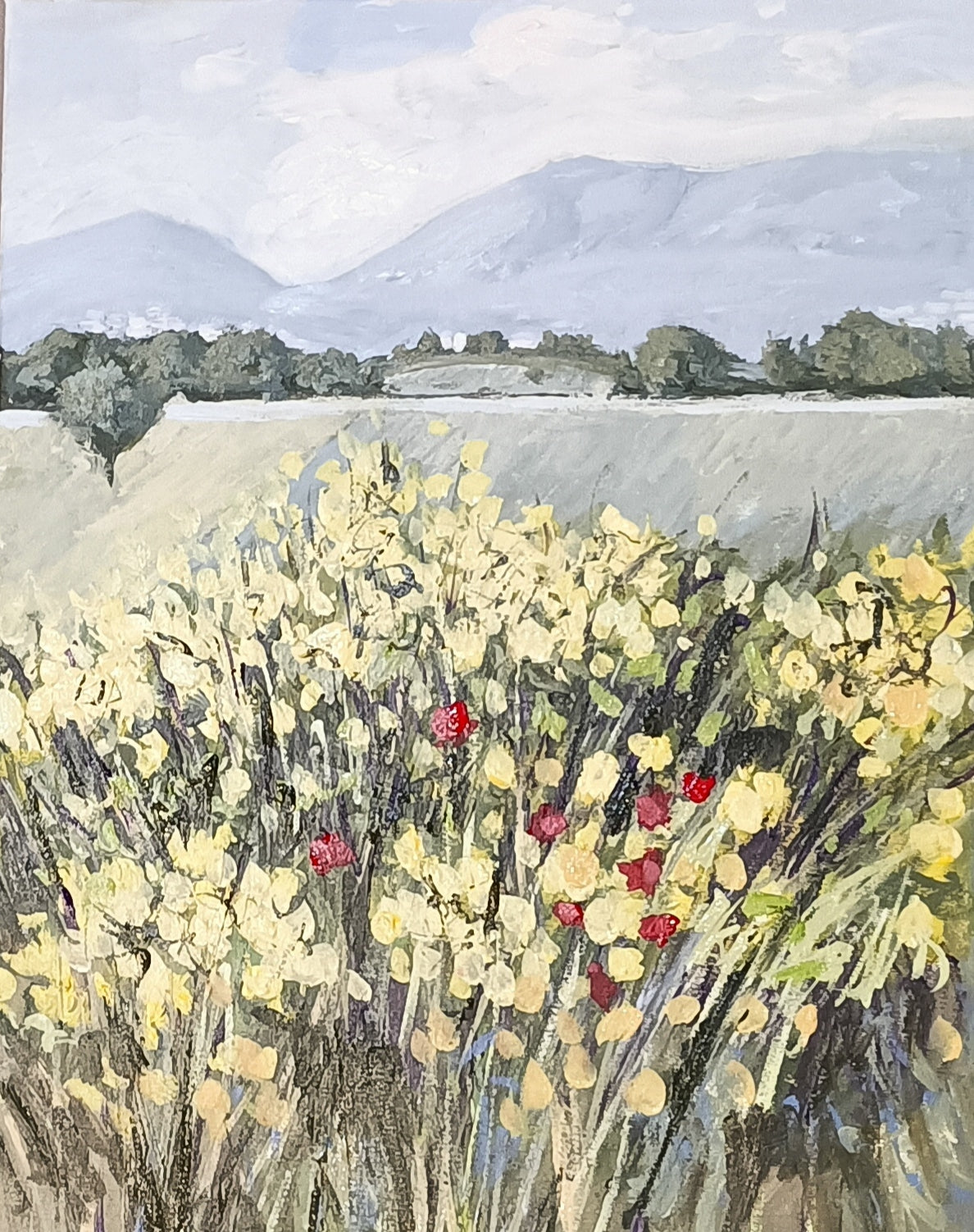 CIOCIARA COUNTRYSIDE