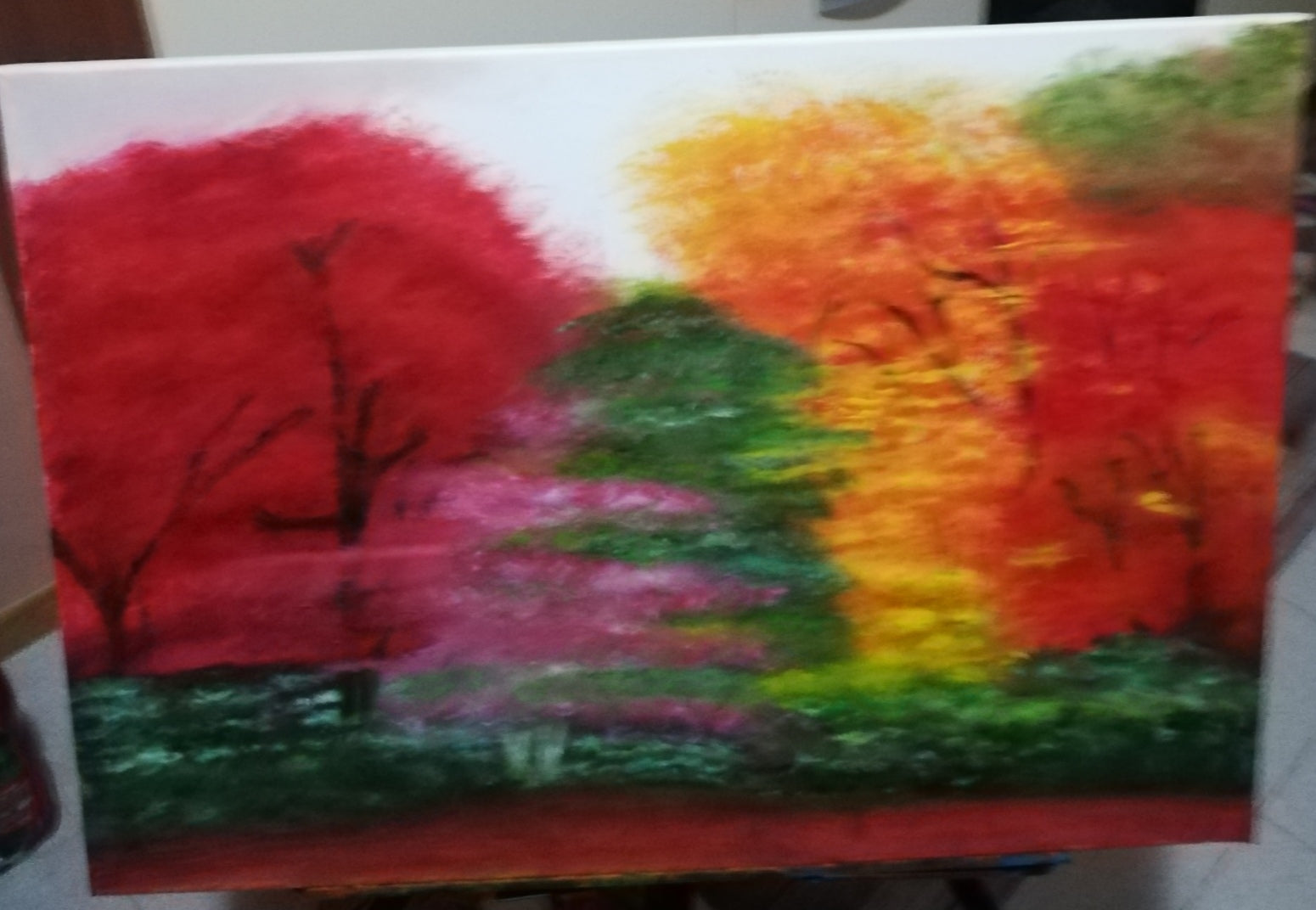 The vibrant colors of a sunset