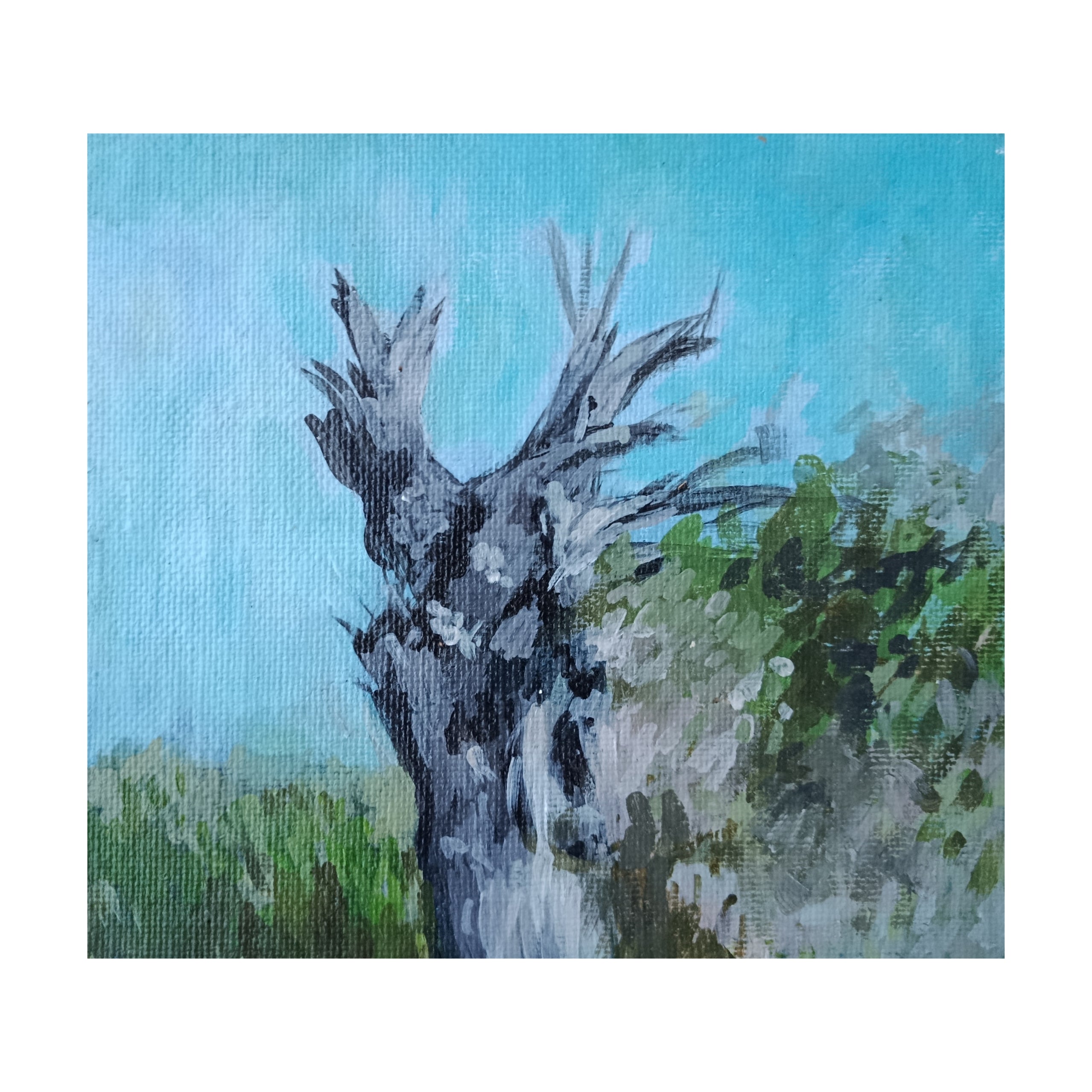the old tree