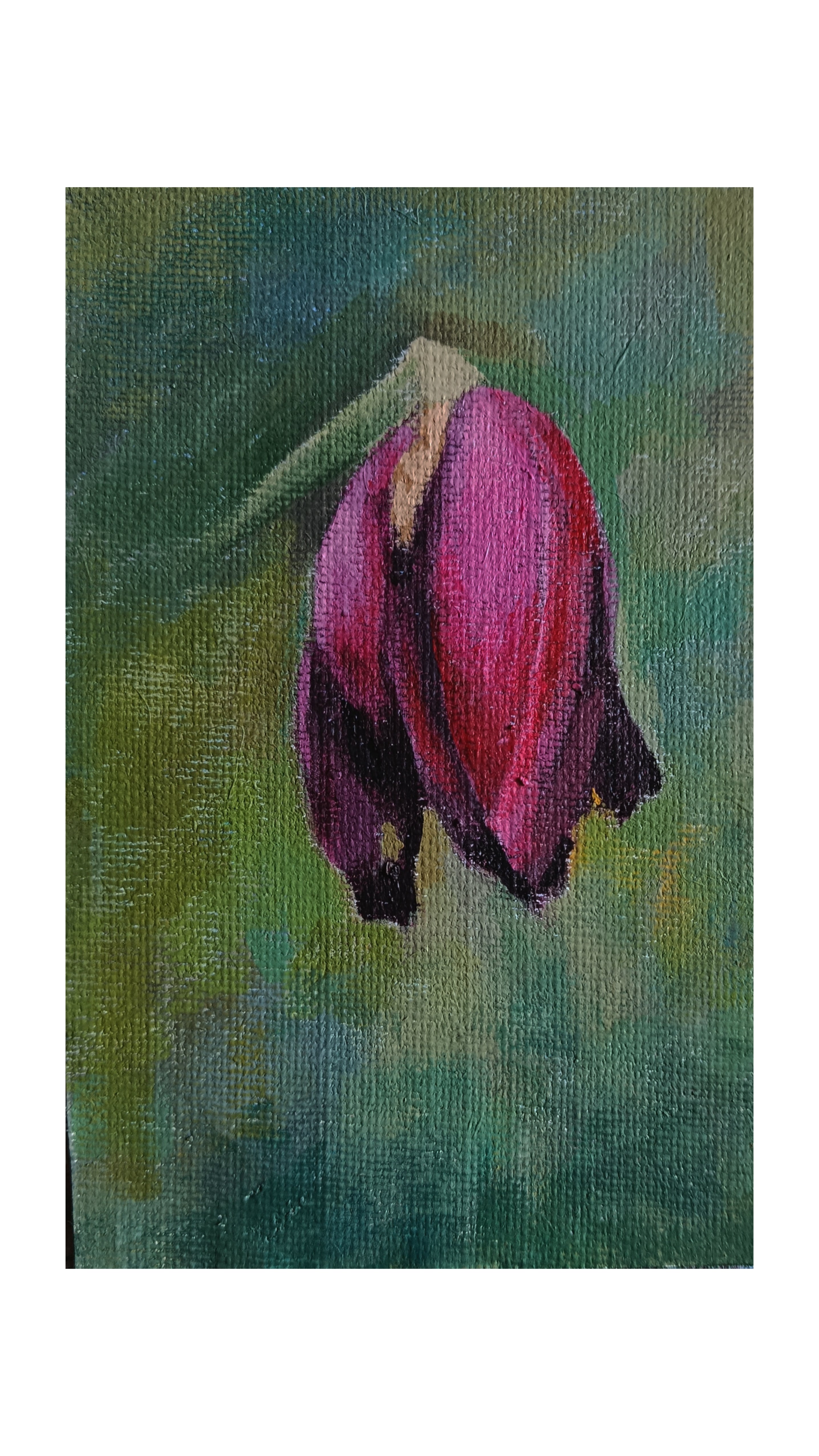 withered bud