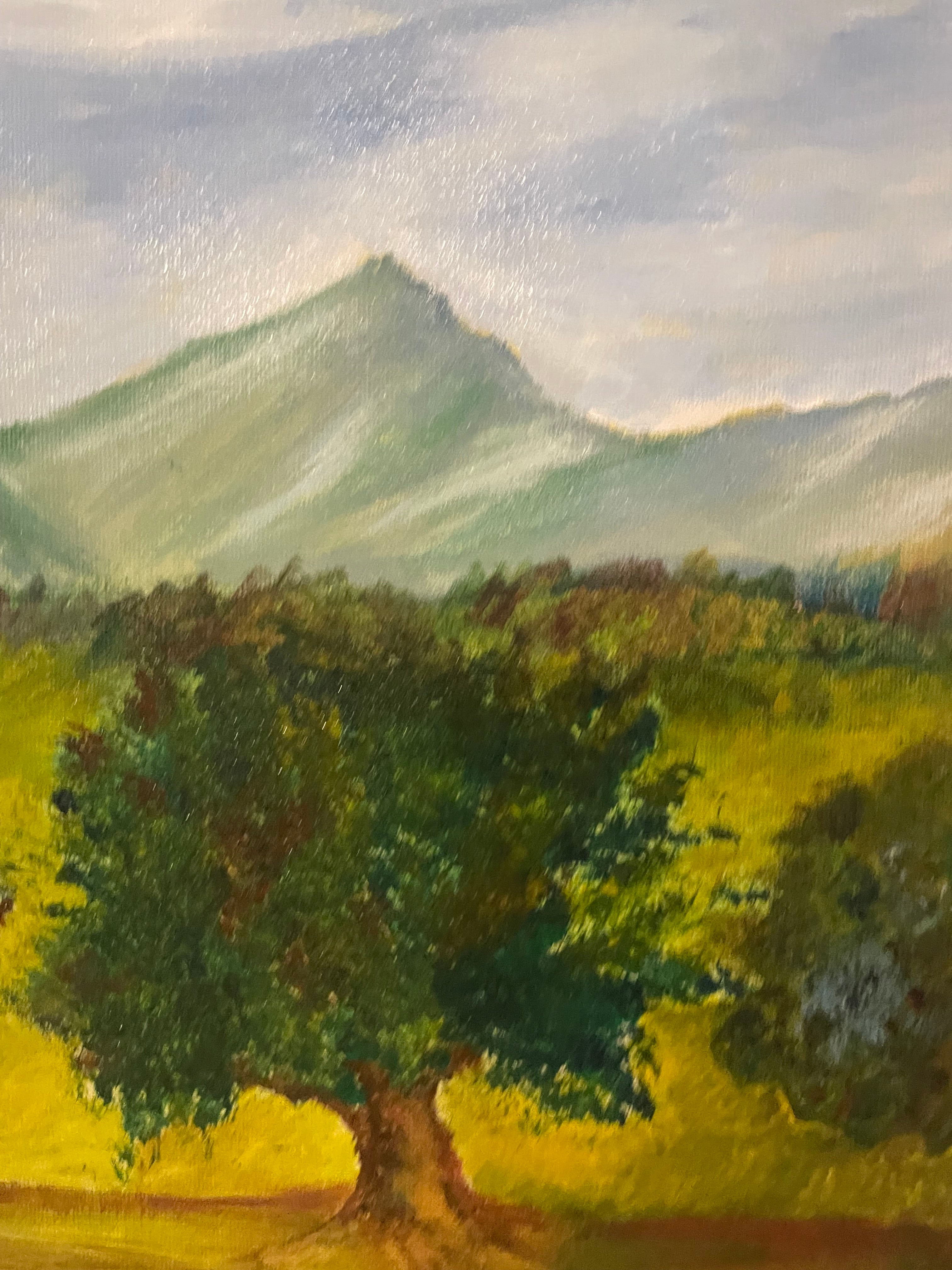 Paesaggio montagnoso
