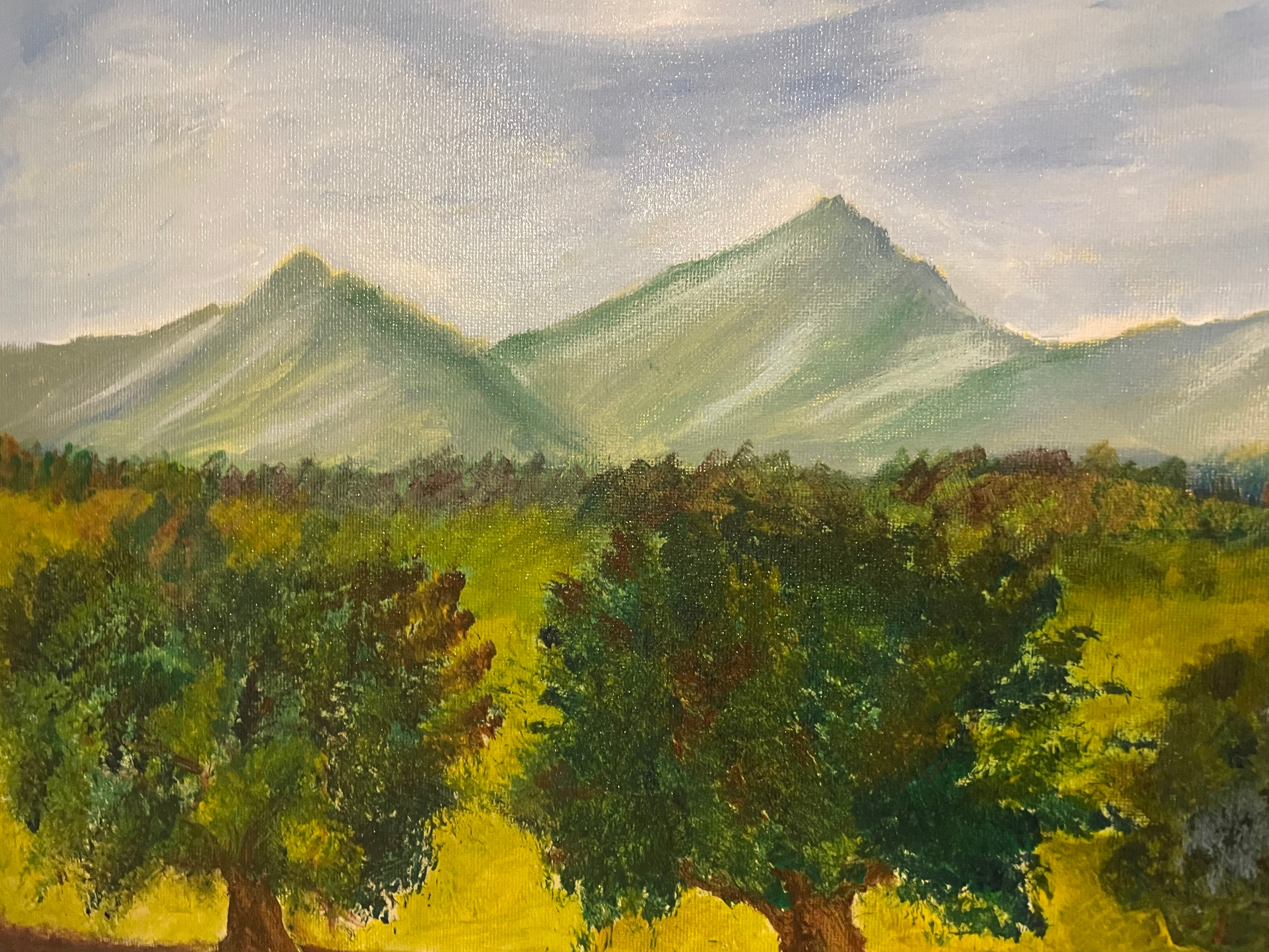 Mountainous landscape
