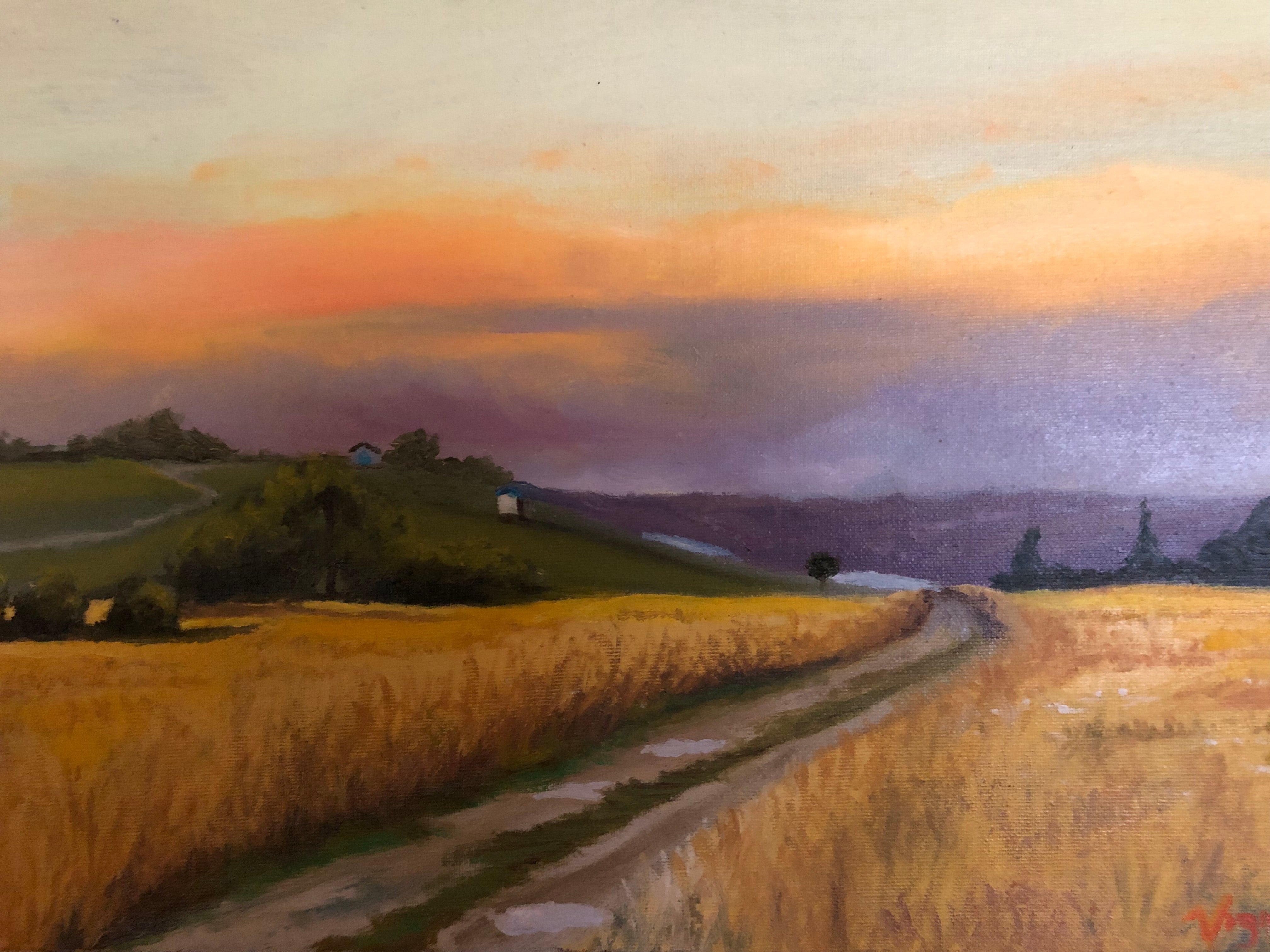 Wheat after the rain