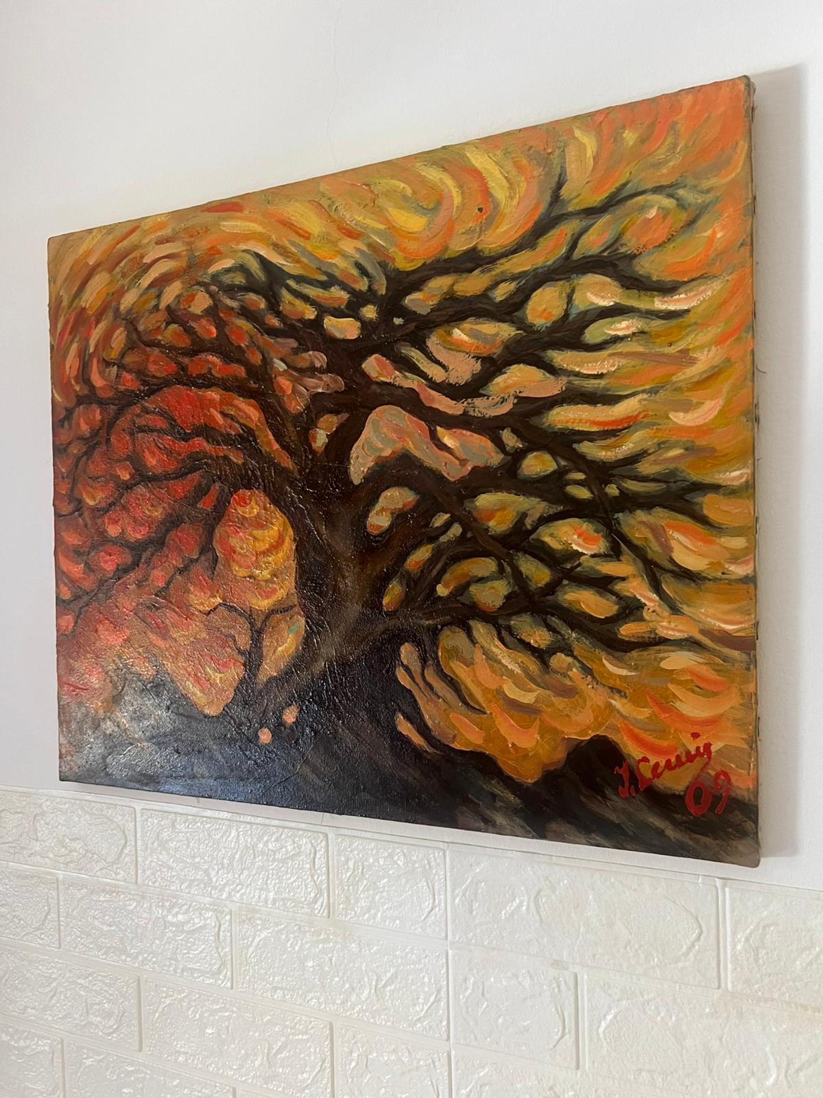 Alba delle radici