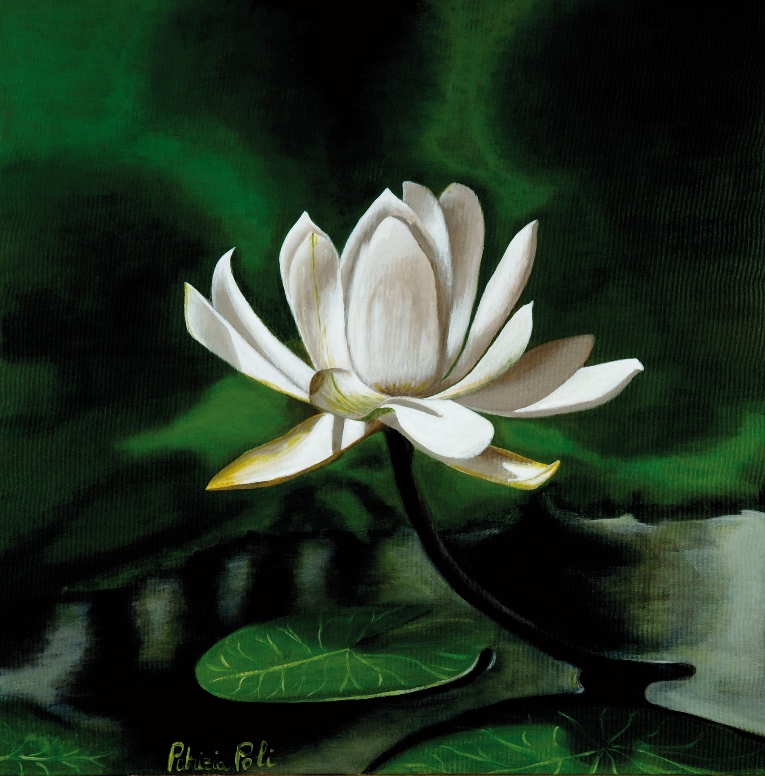 Enchantment and purity