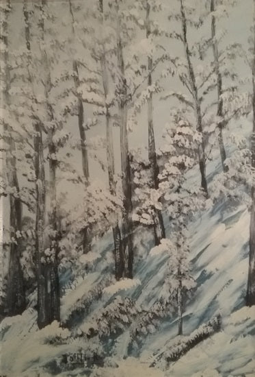 Renzo Iotti - Trasparente inverno