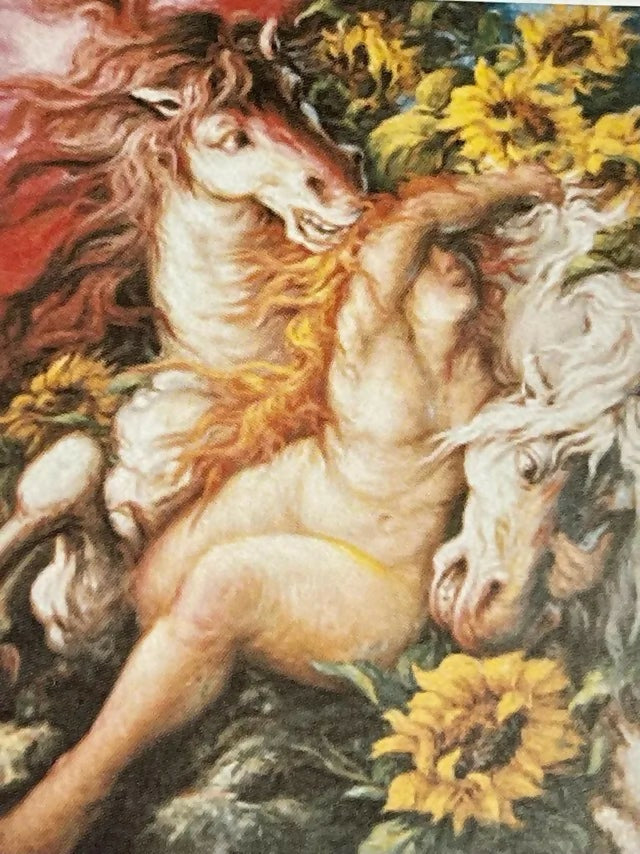Ippolita tra i girasoli
