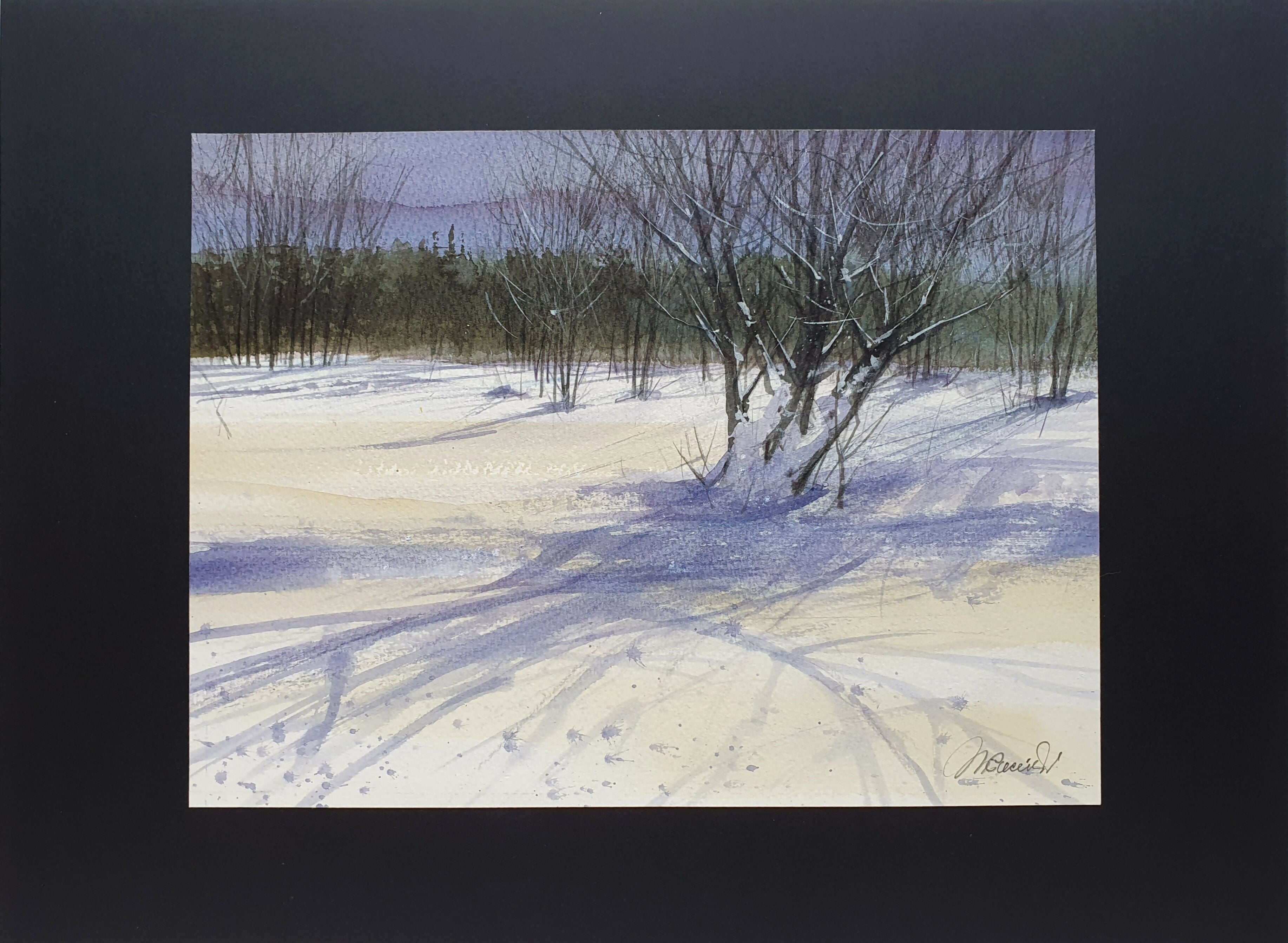 Paesaggio neve