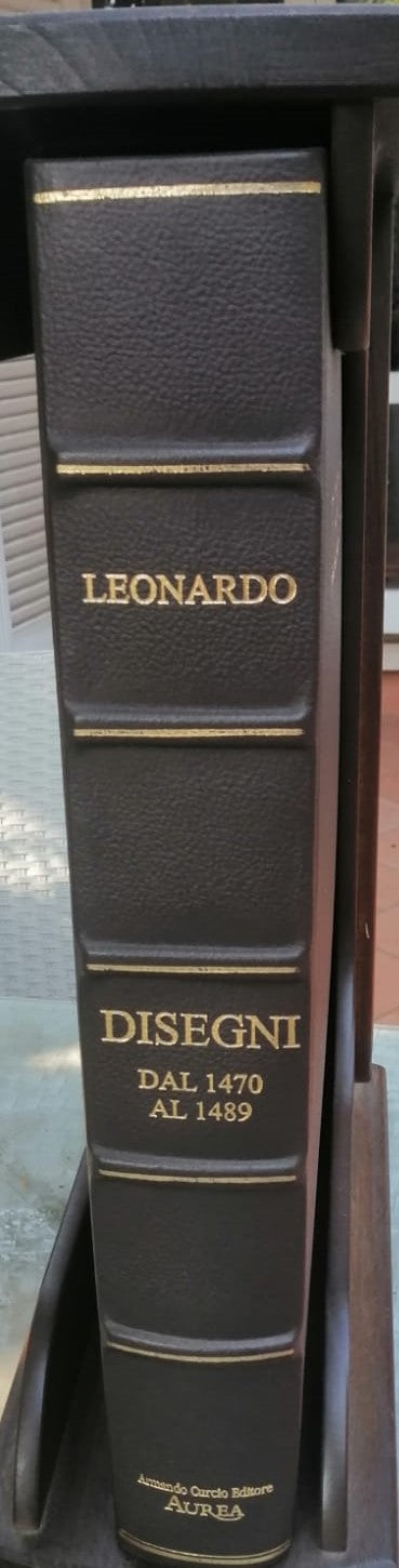 DIBUJOS DE LEONARDO DA VINCI DE 1490 A 1519 - TREC