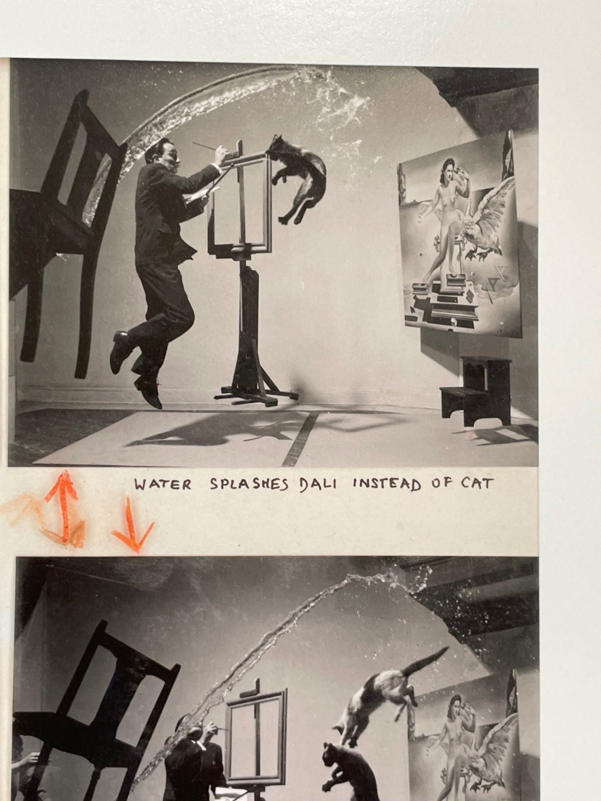 Dali Atomicus / Magnum Contact Sheets