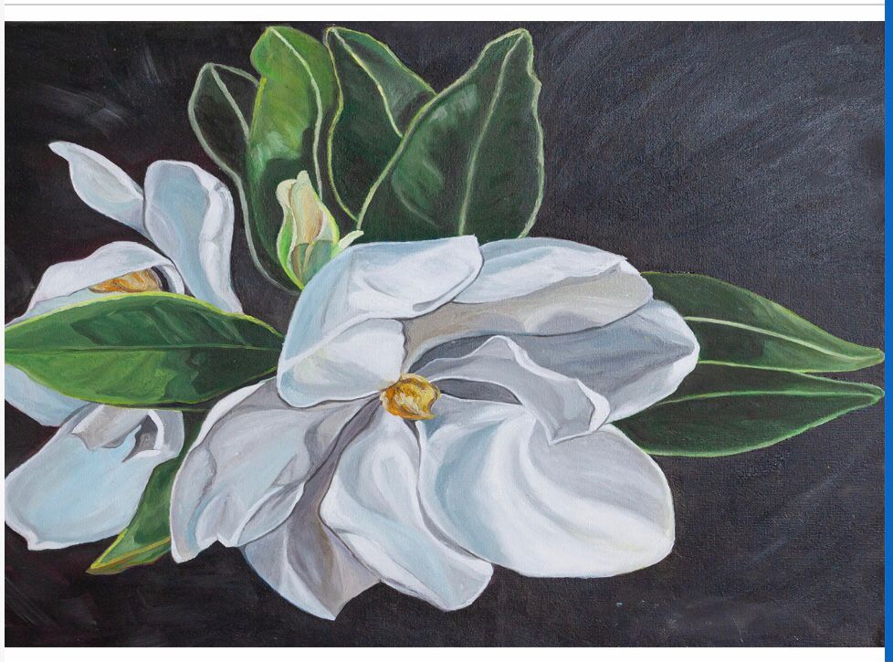 Magnolia