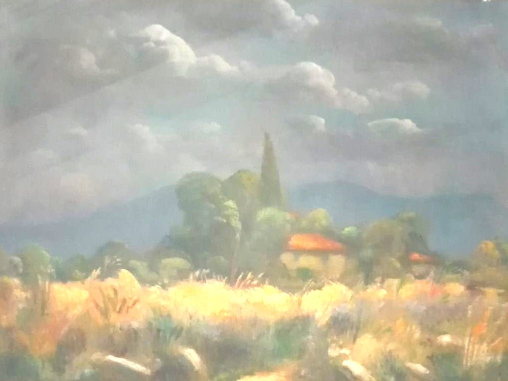 CASCINE FIRENZE - LUIGI FALAI