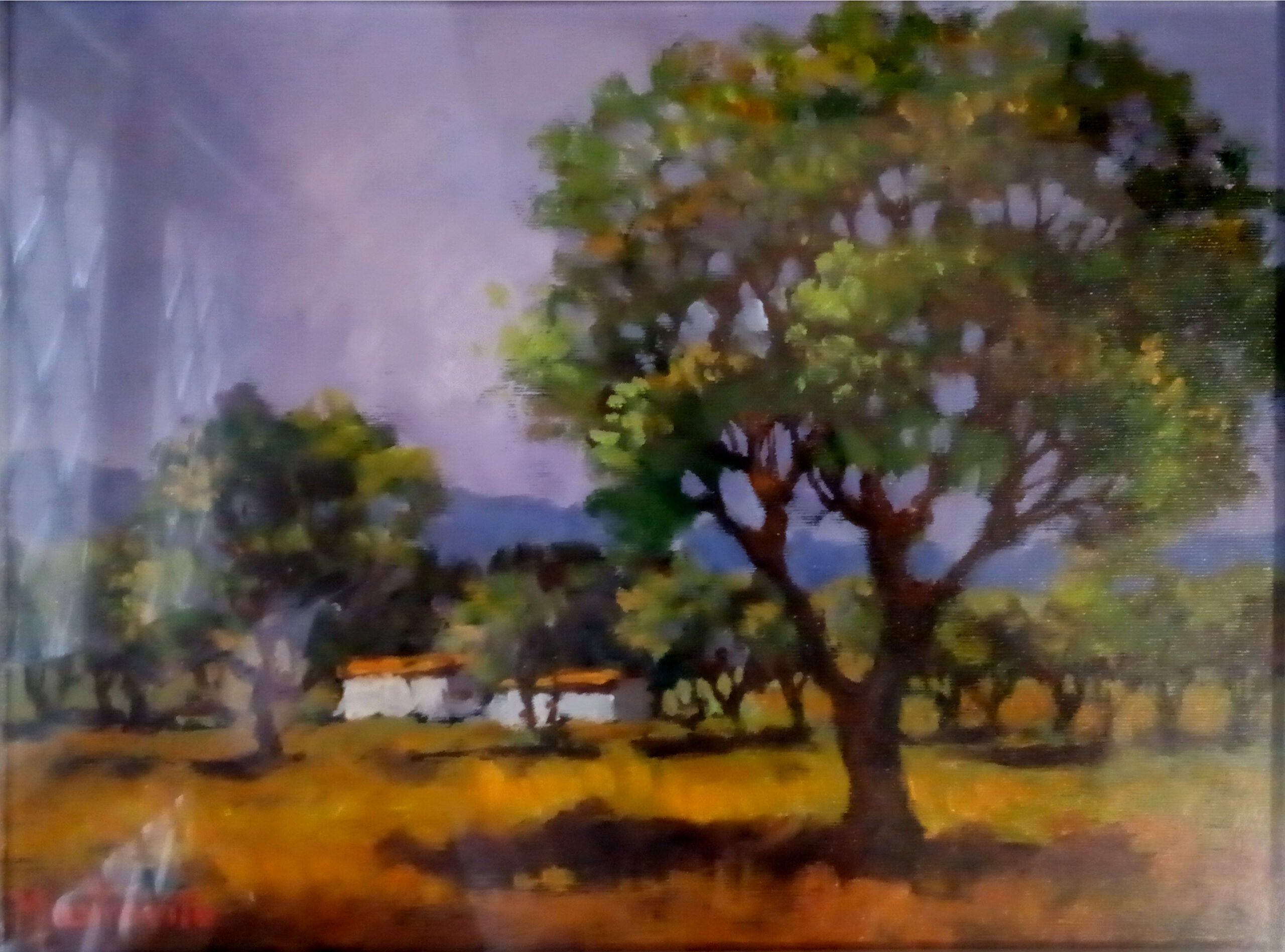 Adolfo Mastrovito - Landscape