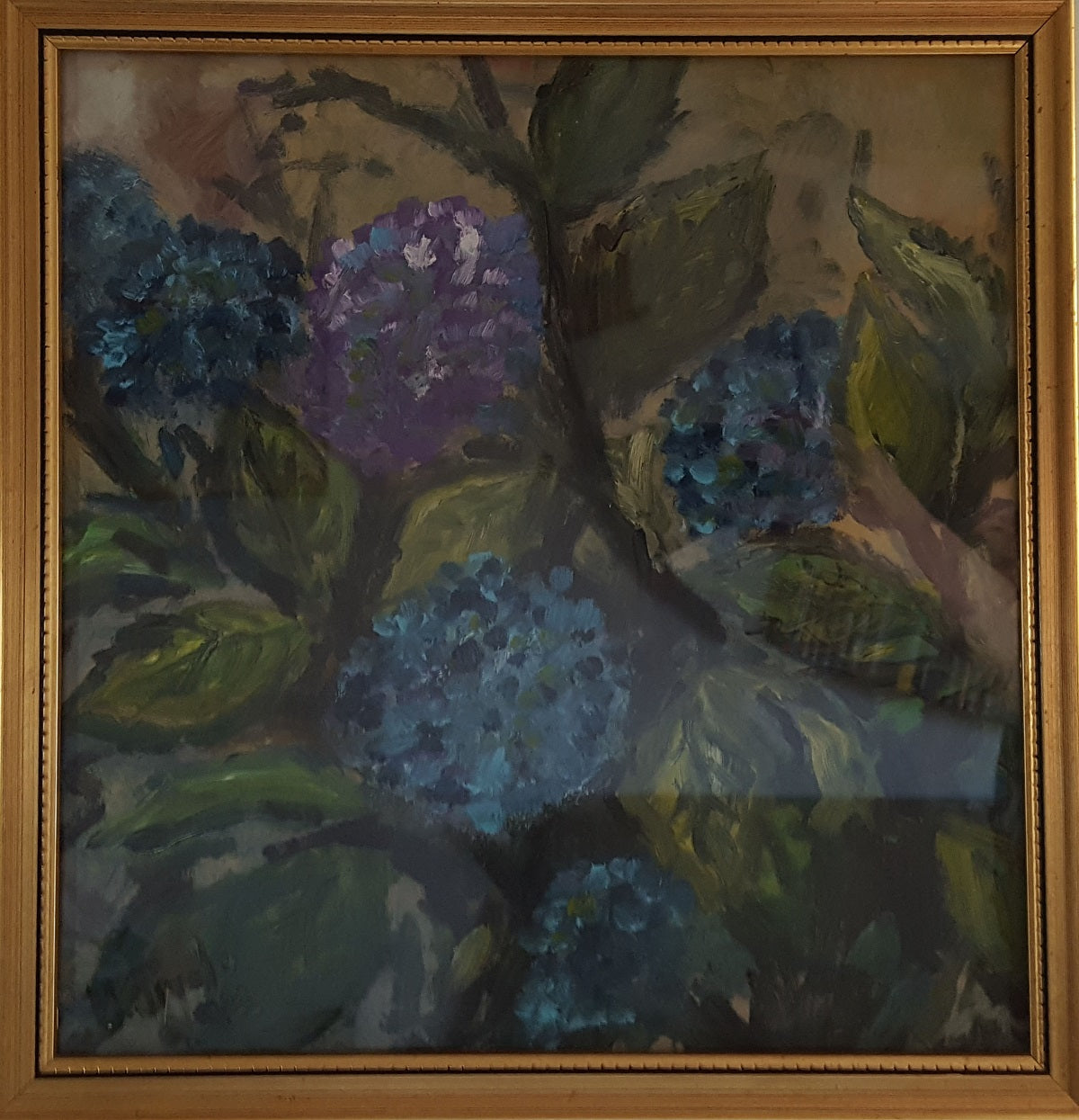 Maurizio Pirolo - Orchidee
