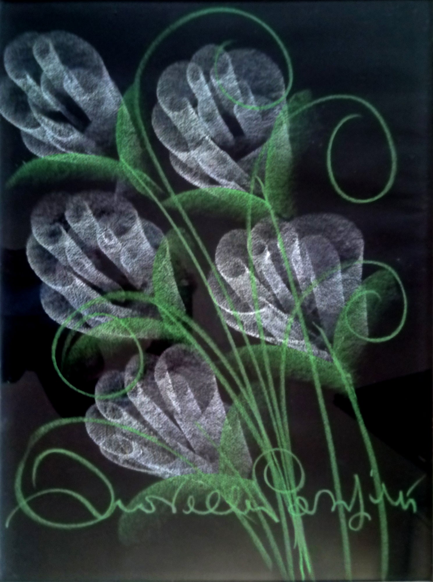 Novella Parigini - Fiori