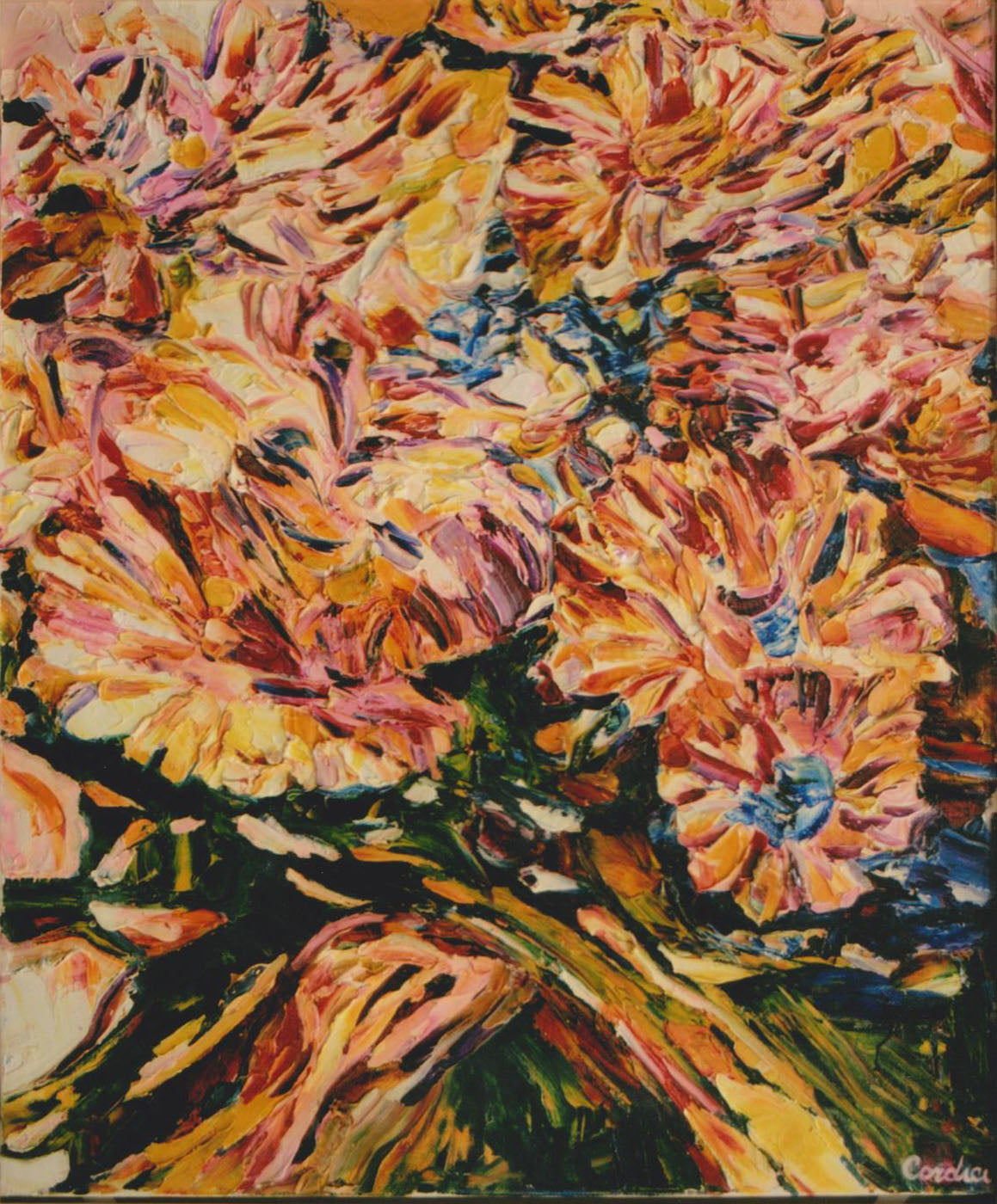 Pietro Cordici - Shrub