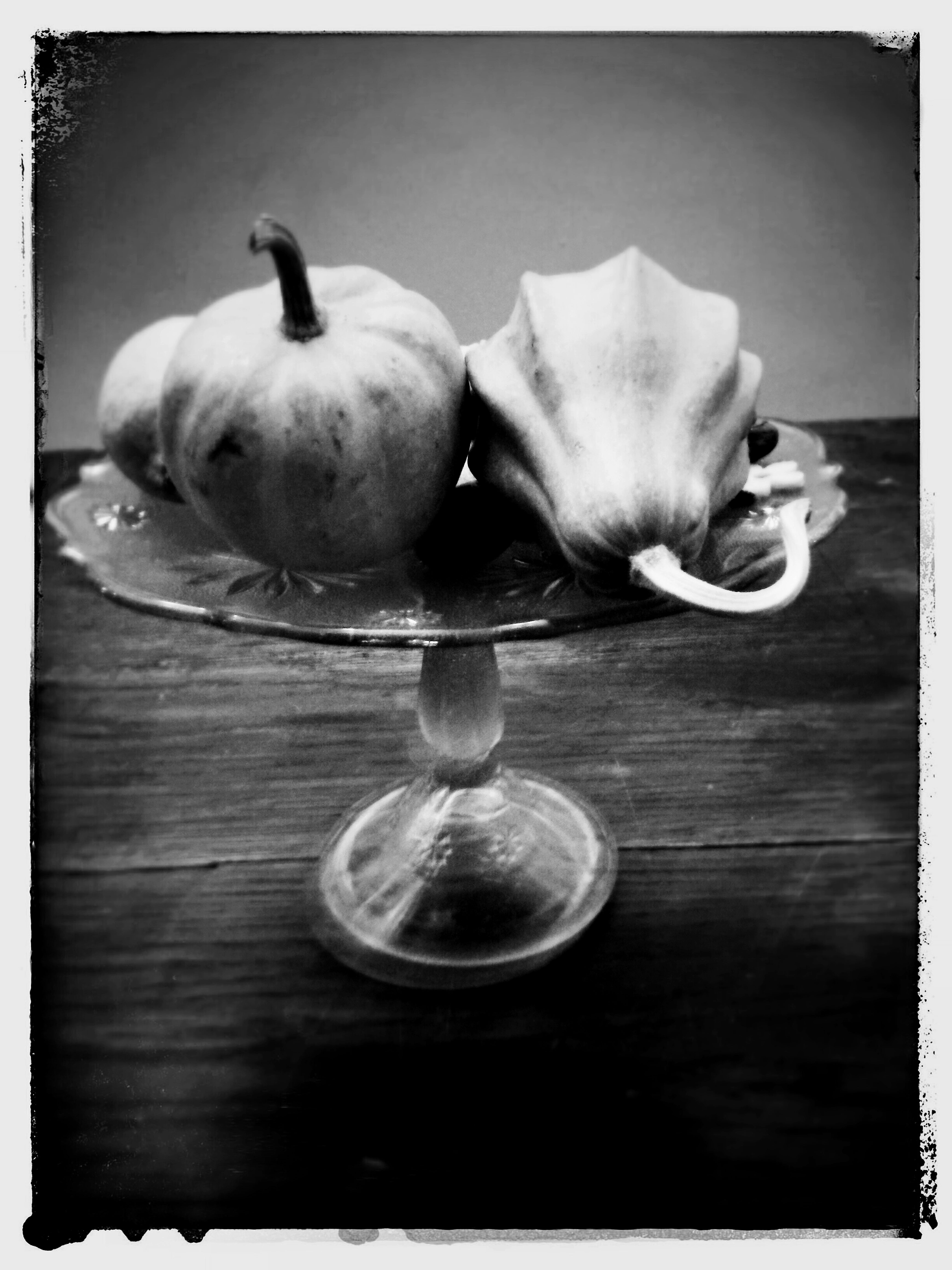 Tina Fugazzotto - On the table