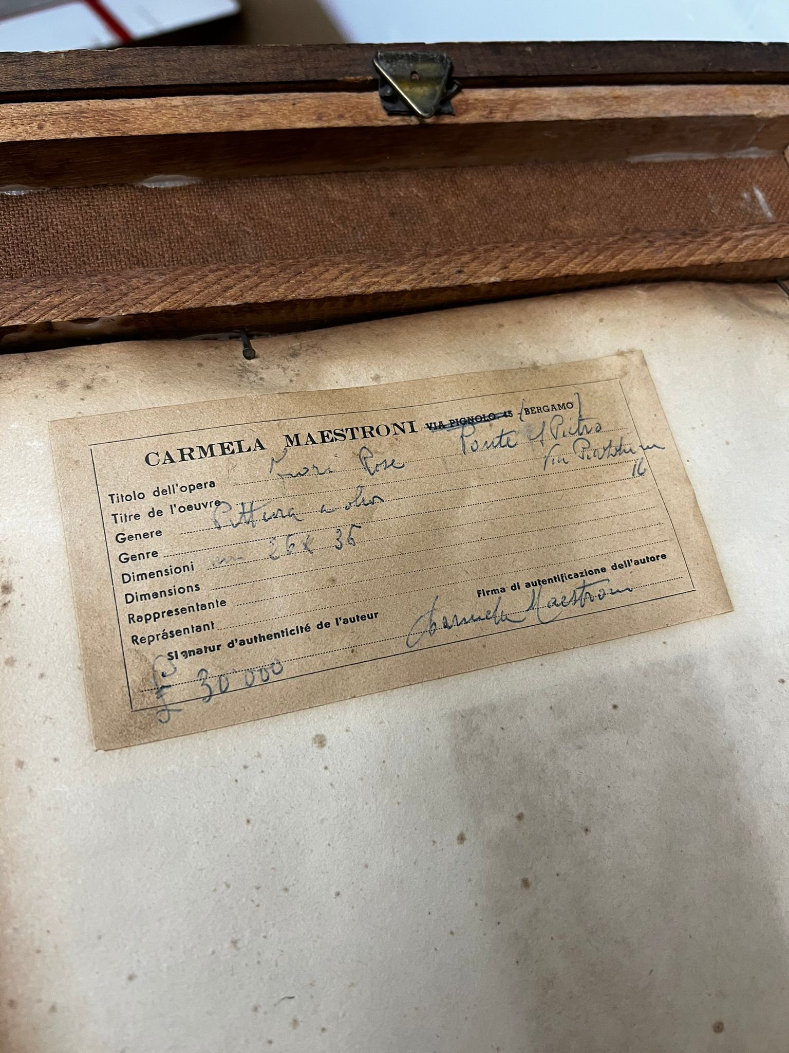 Carmela Maestroni - Senza titolo