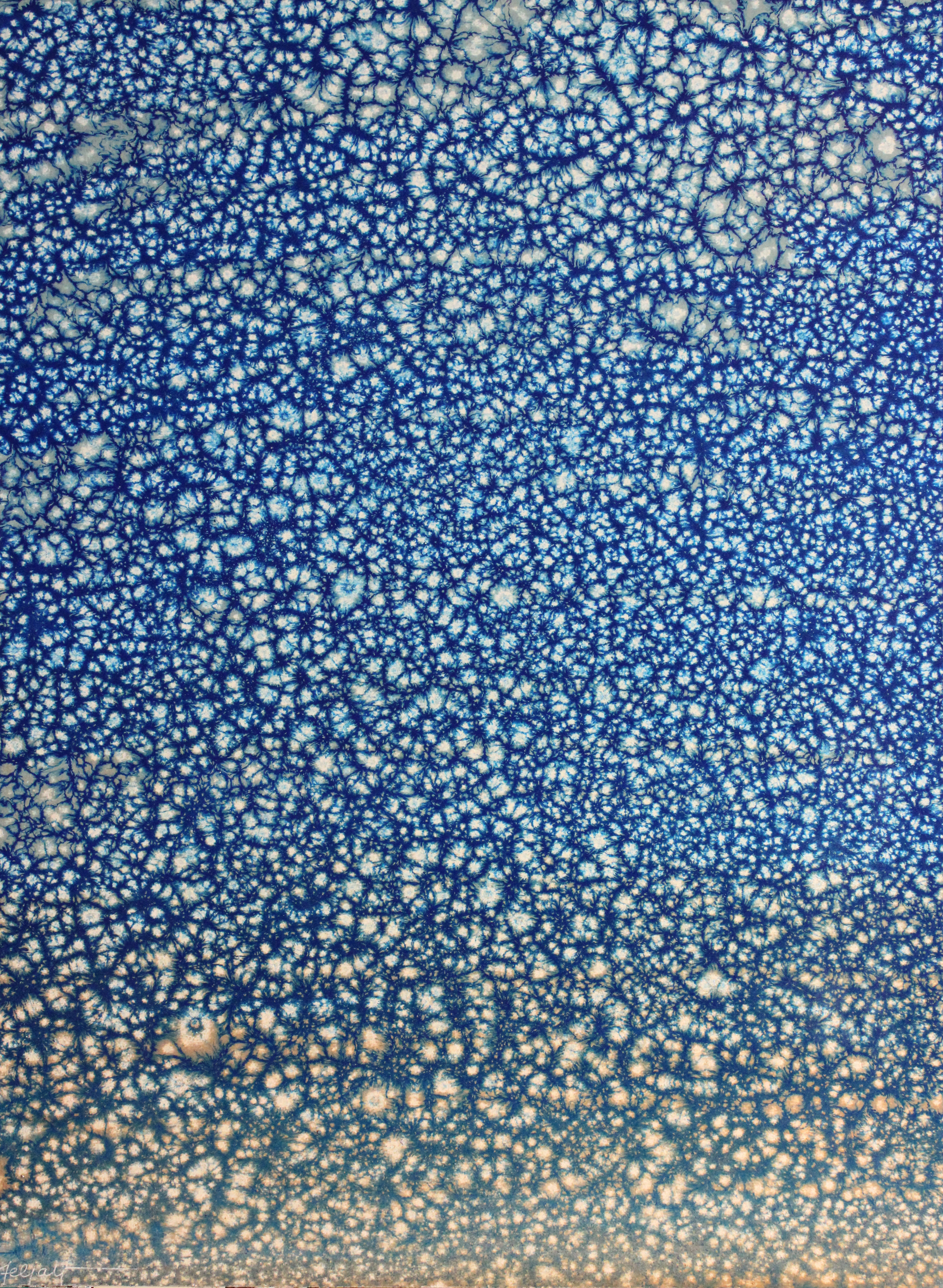 Cosmic Horizon