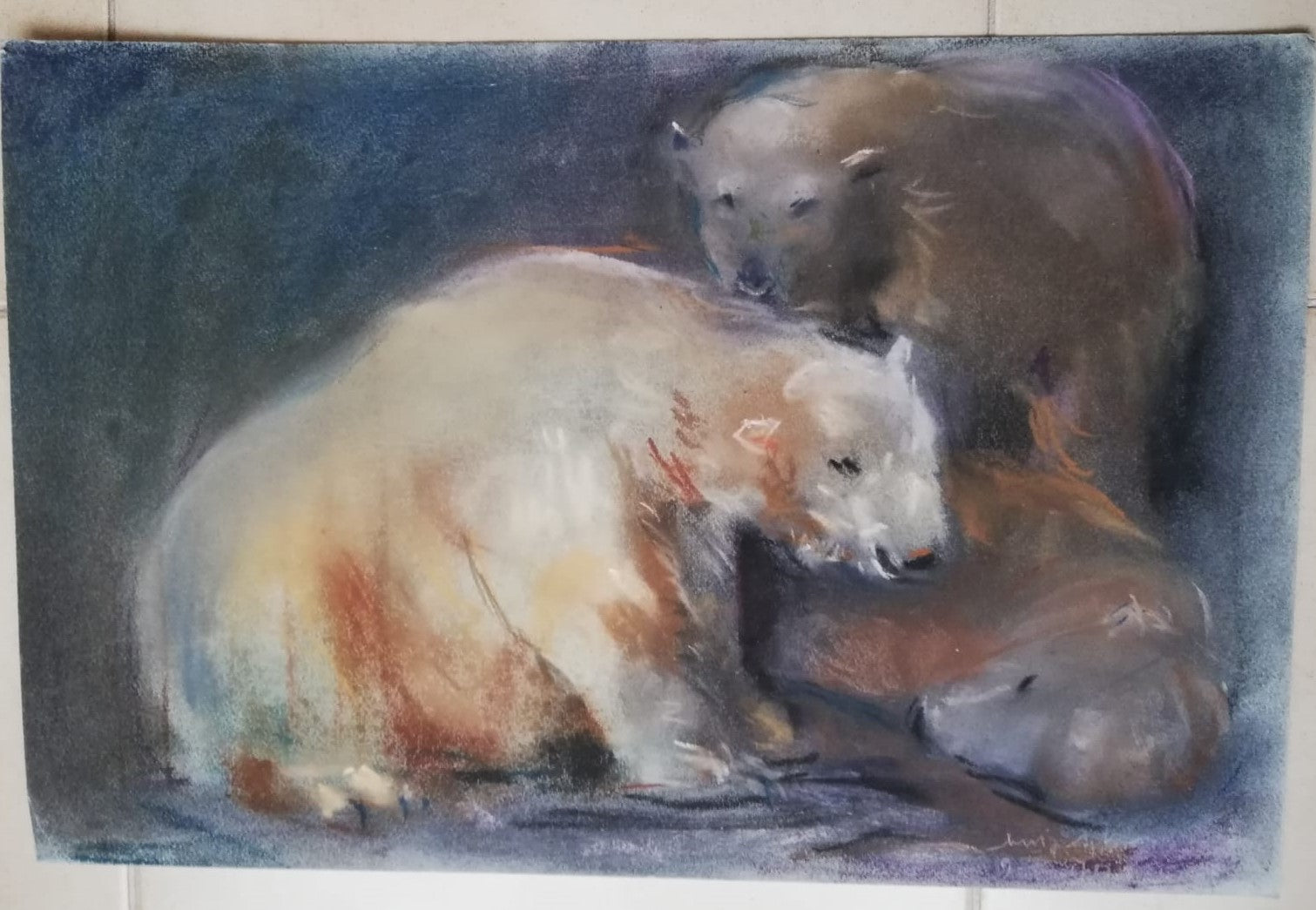 Osos
