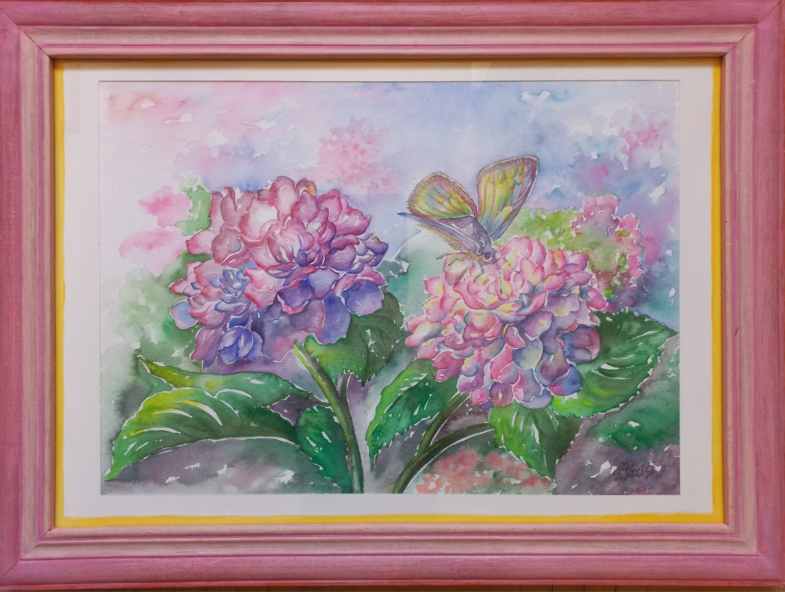 Luisella Parisi - Hortensias rosas en el jardín