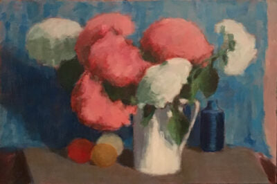 White and red hydrangeas
