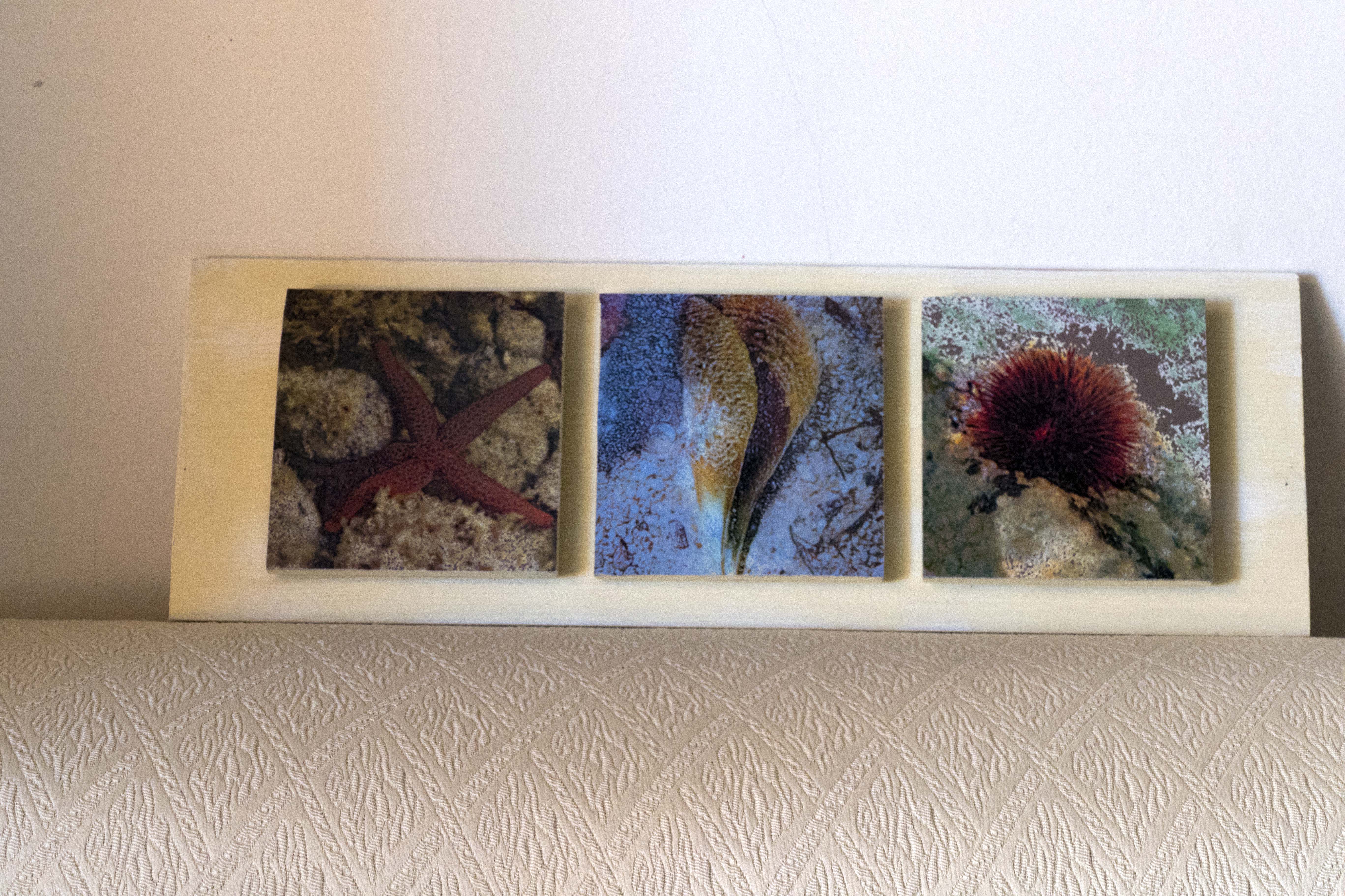 Marine Triptych