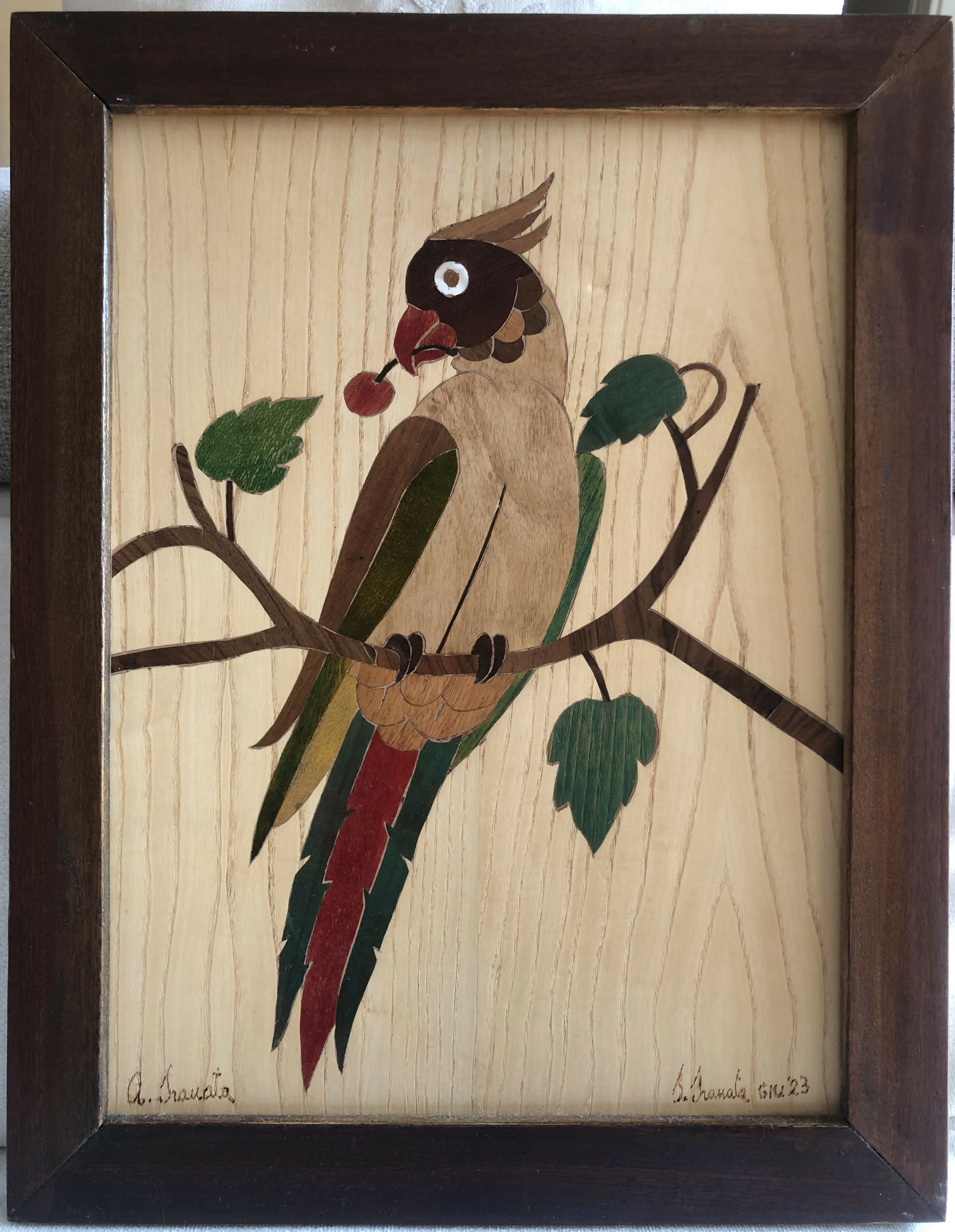 Macaw Macaw