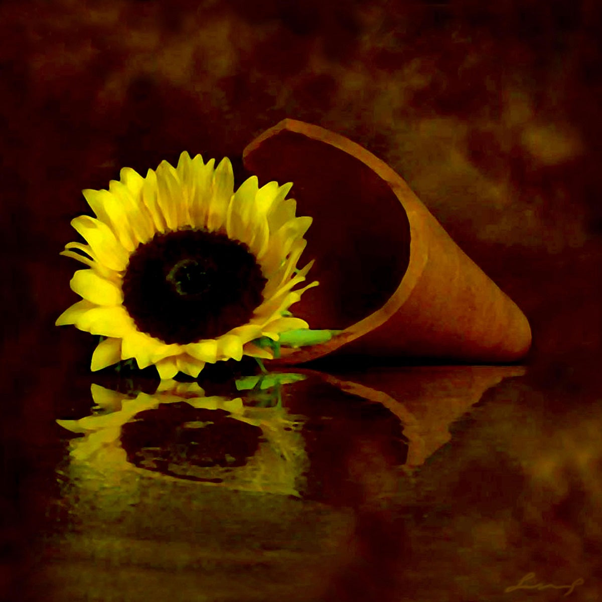 Andrea Shevchuk - Per te