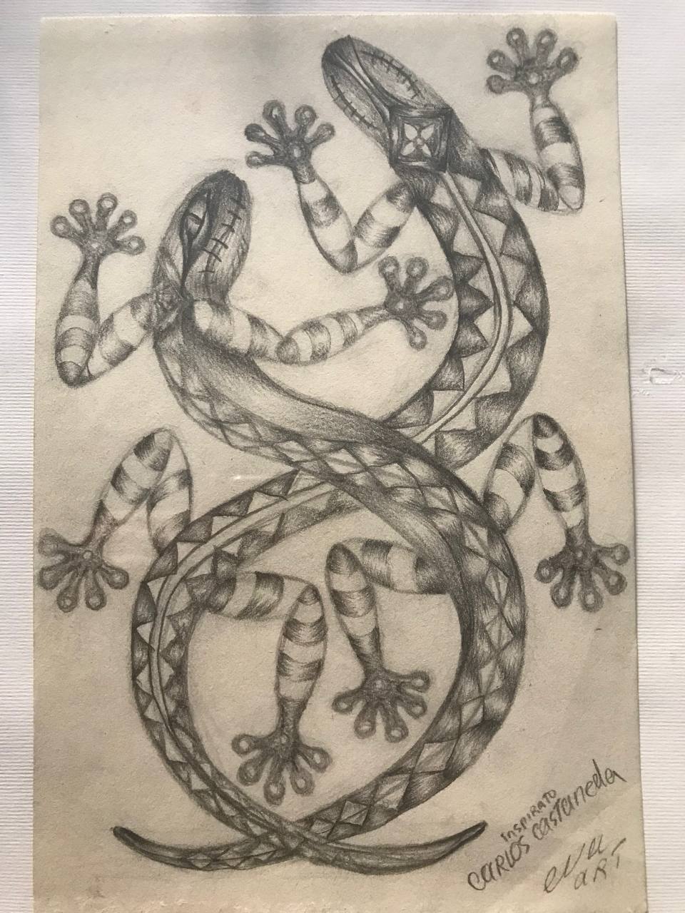 lizards